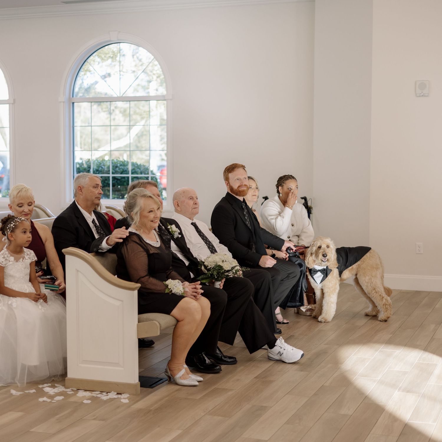 Wedding guests seated in white chapel pews with a tuxedo-dressed dog standing in the aisle.