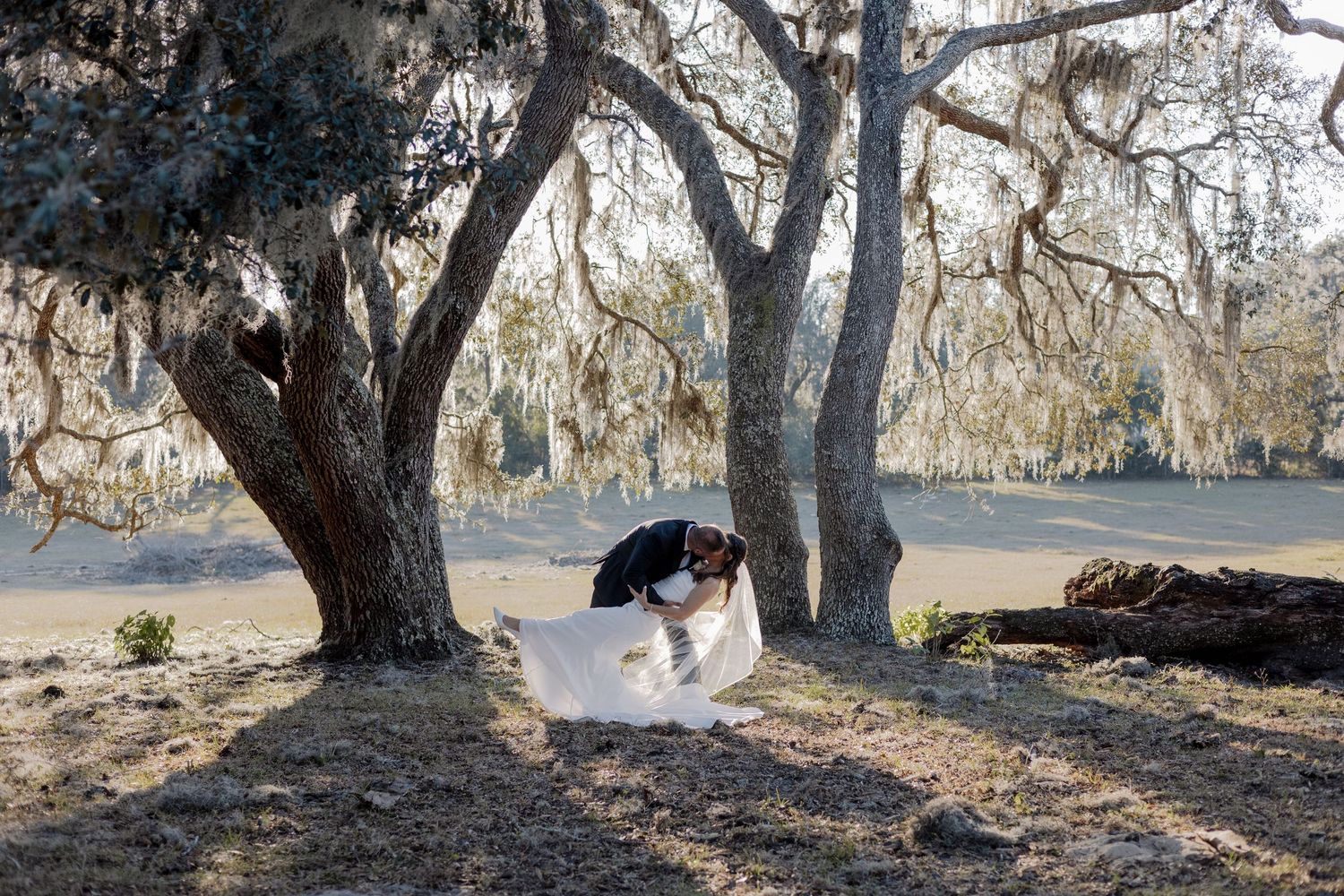 Bride and groom sharing a romantic dip kiss under moss-draped oak trees in an open field.