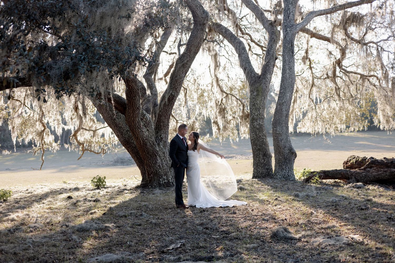 Bride and groom sharing a romantic moment under a large moss-draped oak tree at golden hour.