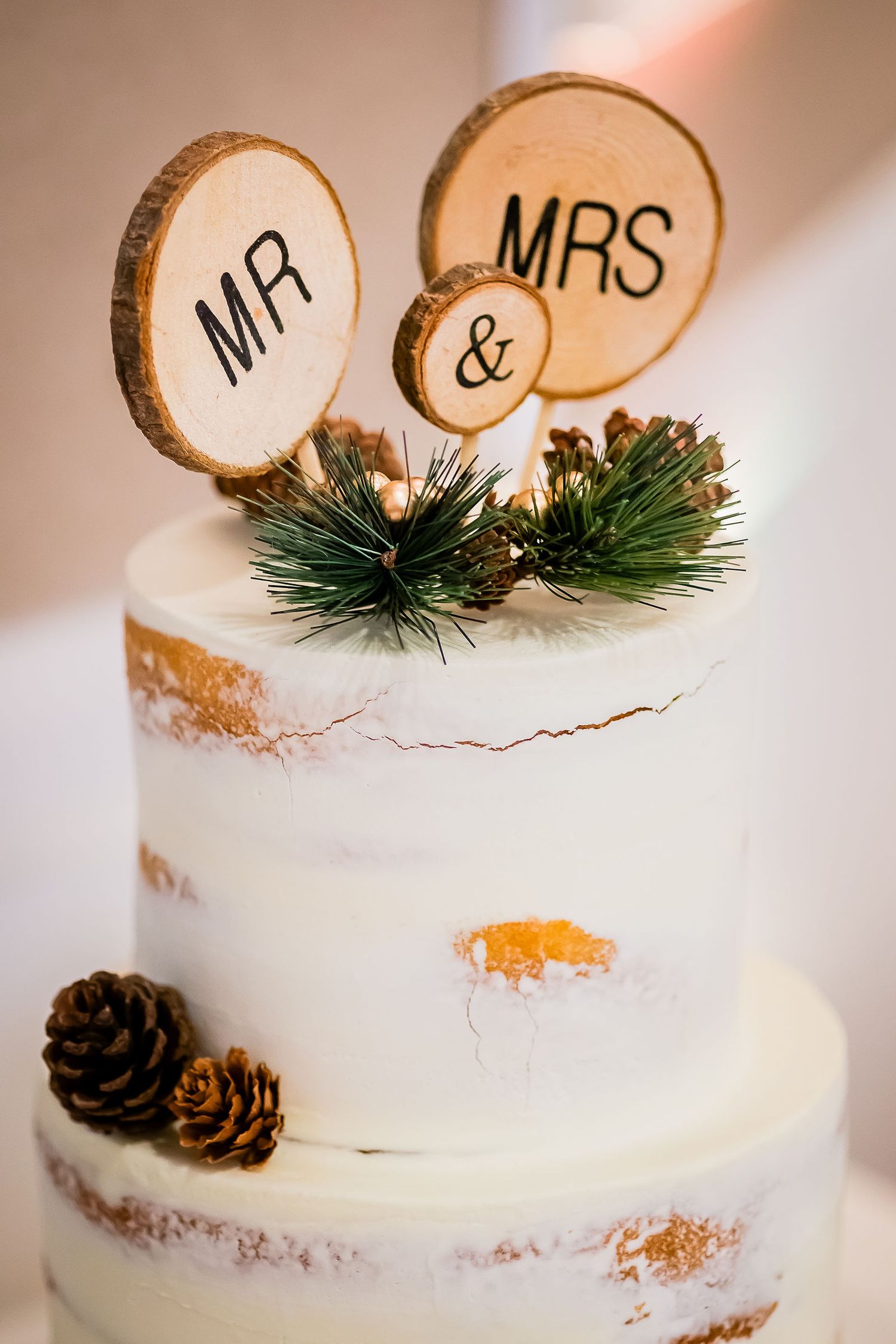 Elegant two-tier white wedding cake topped with rustic wood slice Mr and Mrs signs and pine cones.
