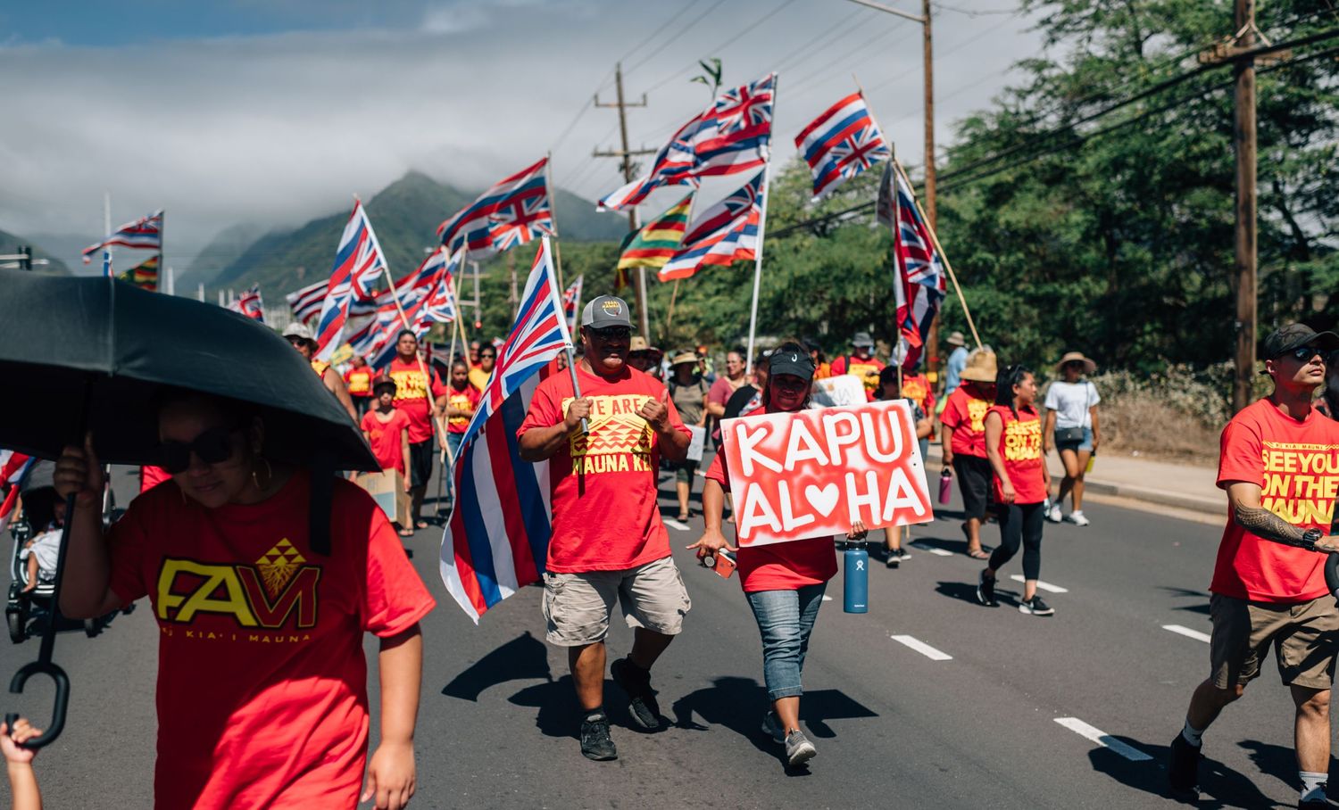 Protesters carrying Hawaiian flags and signs march along street during demonstration.