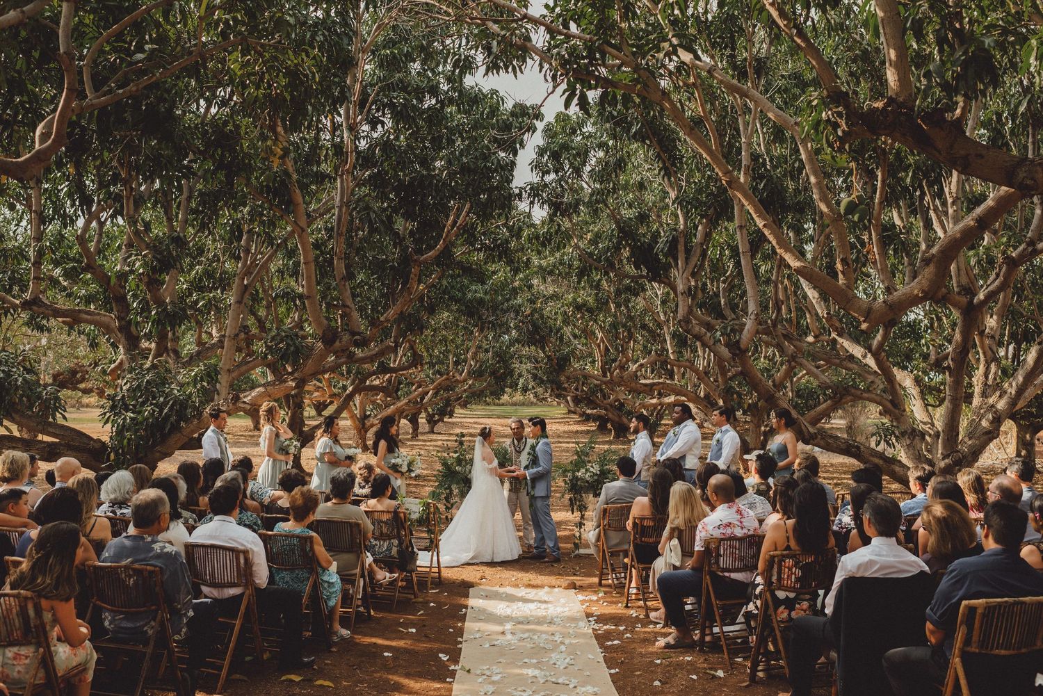 Outdoor wedding ceremony under a canopy of trees with guests seated along a petal-lined aisle leading to the altar.