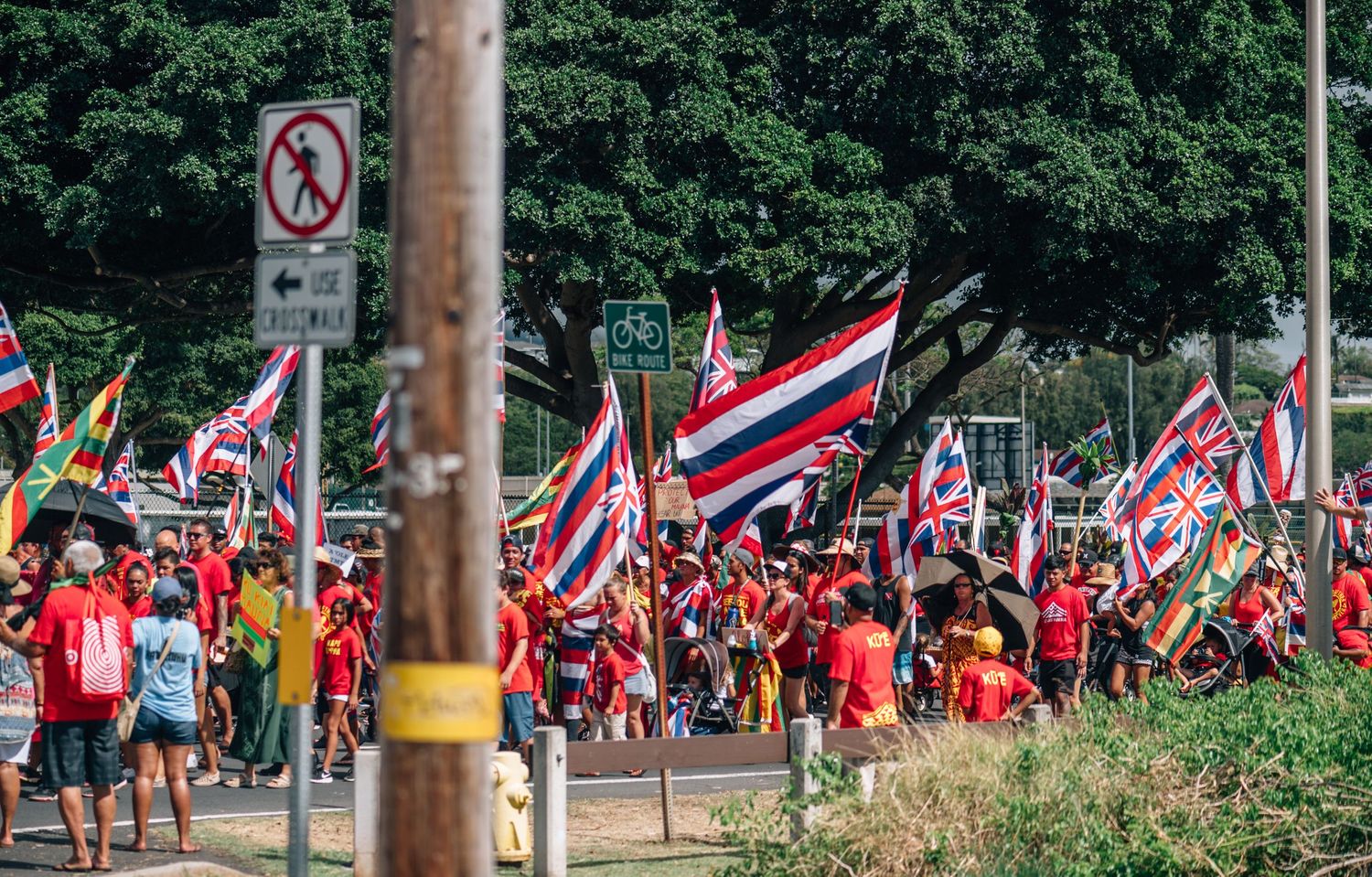 Protesters with Hawaiian flags and signs march along a street during a demonstration.
