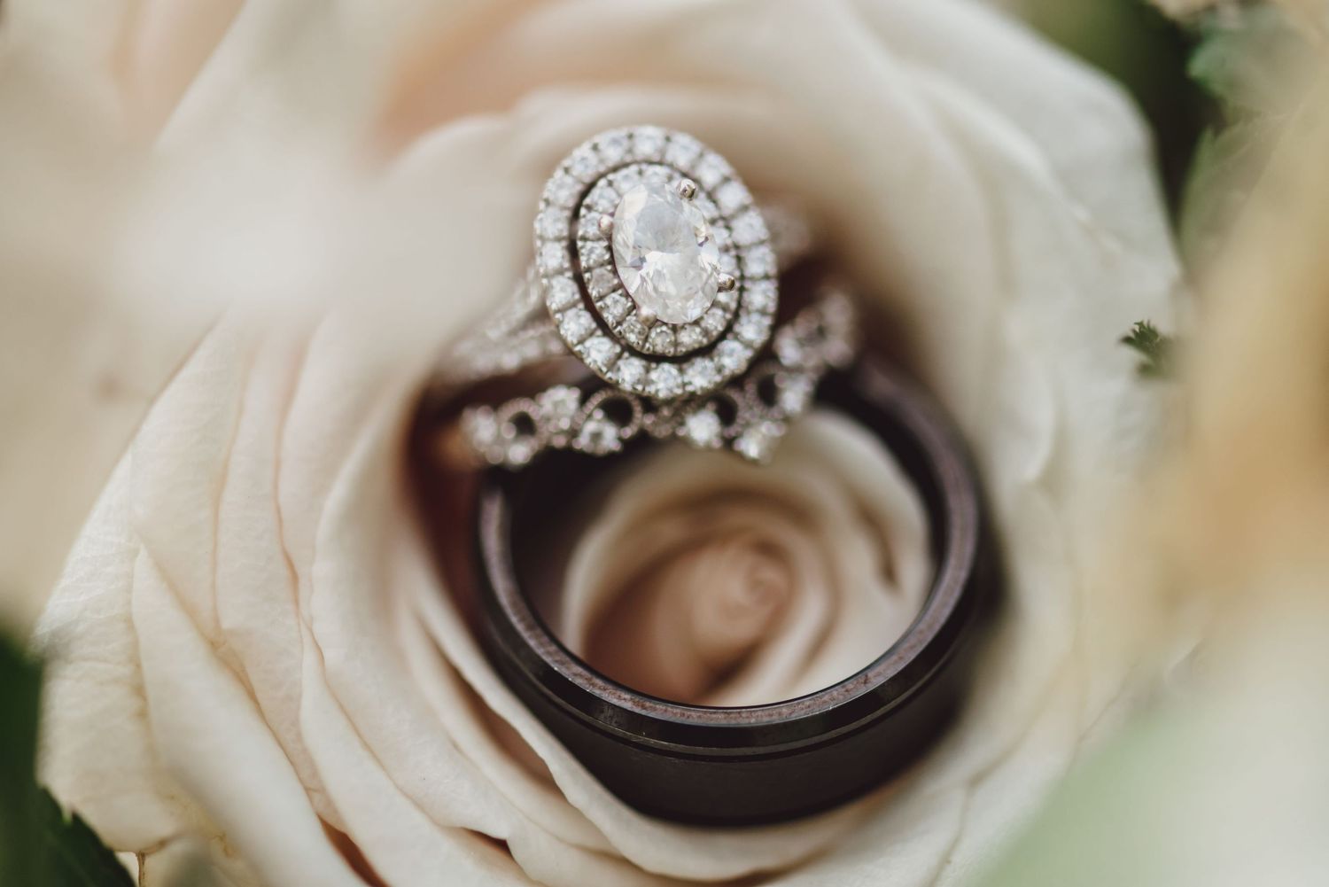 Elegant oval diamond halo engagement ring with wedding bands nestled in a soft blush rose.