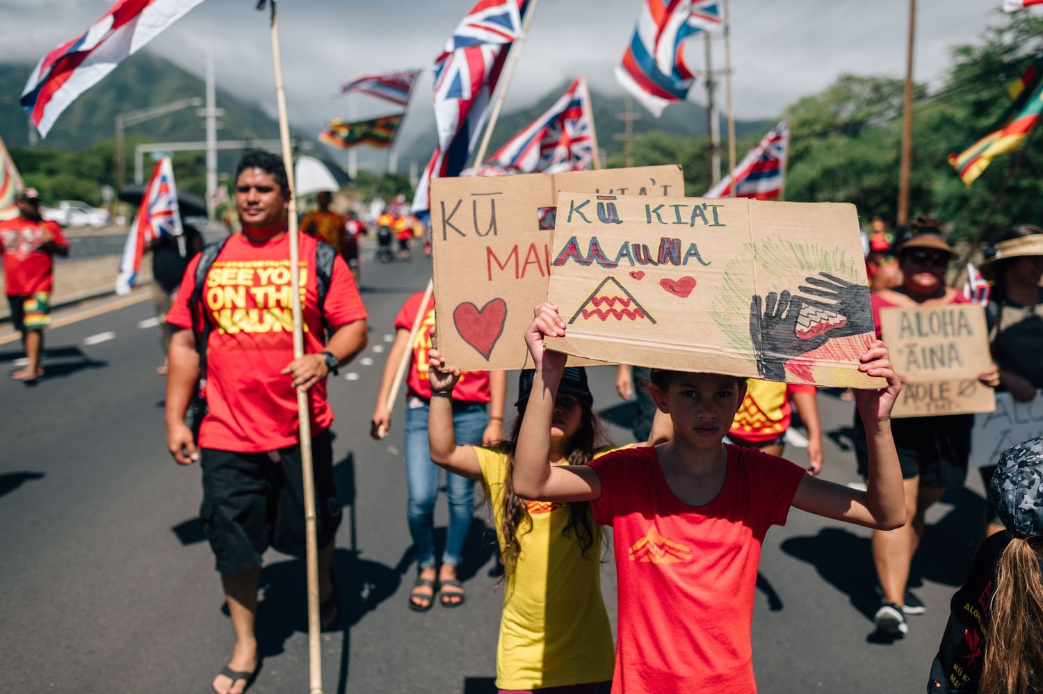 Protesters carrying handmade signs and Hawaiian flags gather for demonstration under blue skies.