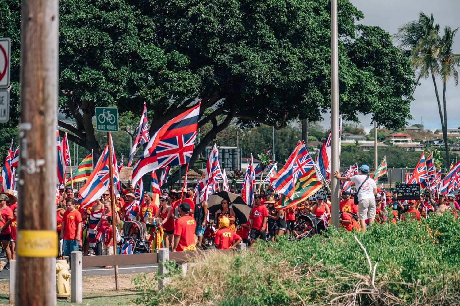 Aerial view of protesters with Hawaiian flags gathering along a tree-lined street.