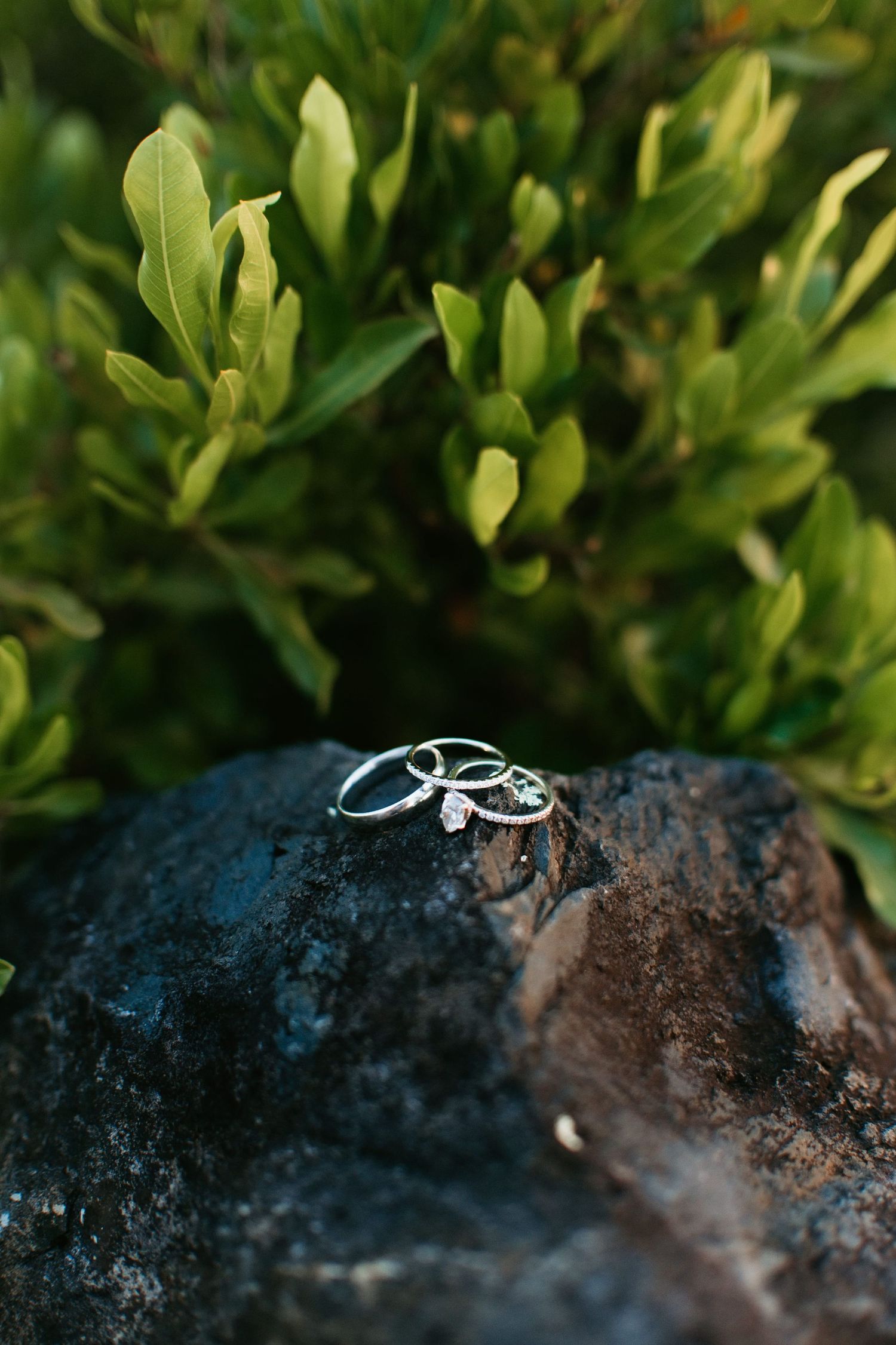 Wedding and engagement rings resting on a dark rock with lush green foliage in the background.