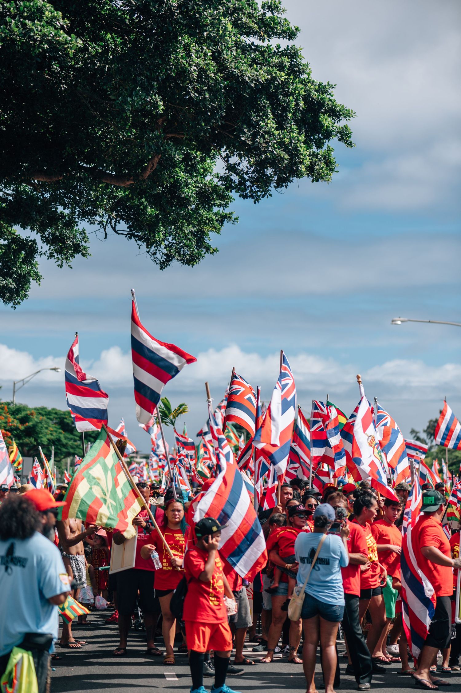 Protesters in red shirts gather under trees waving Hawaiian flags during demonstration.