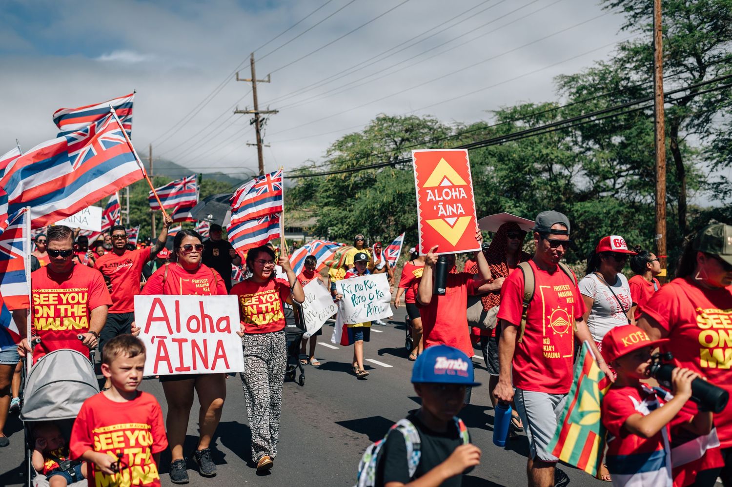 People holding protest signs and Hawaiian flags gather along a road during a demonstration.