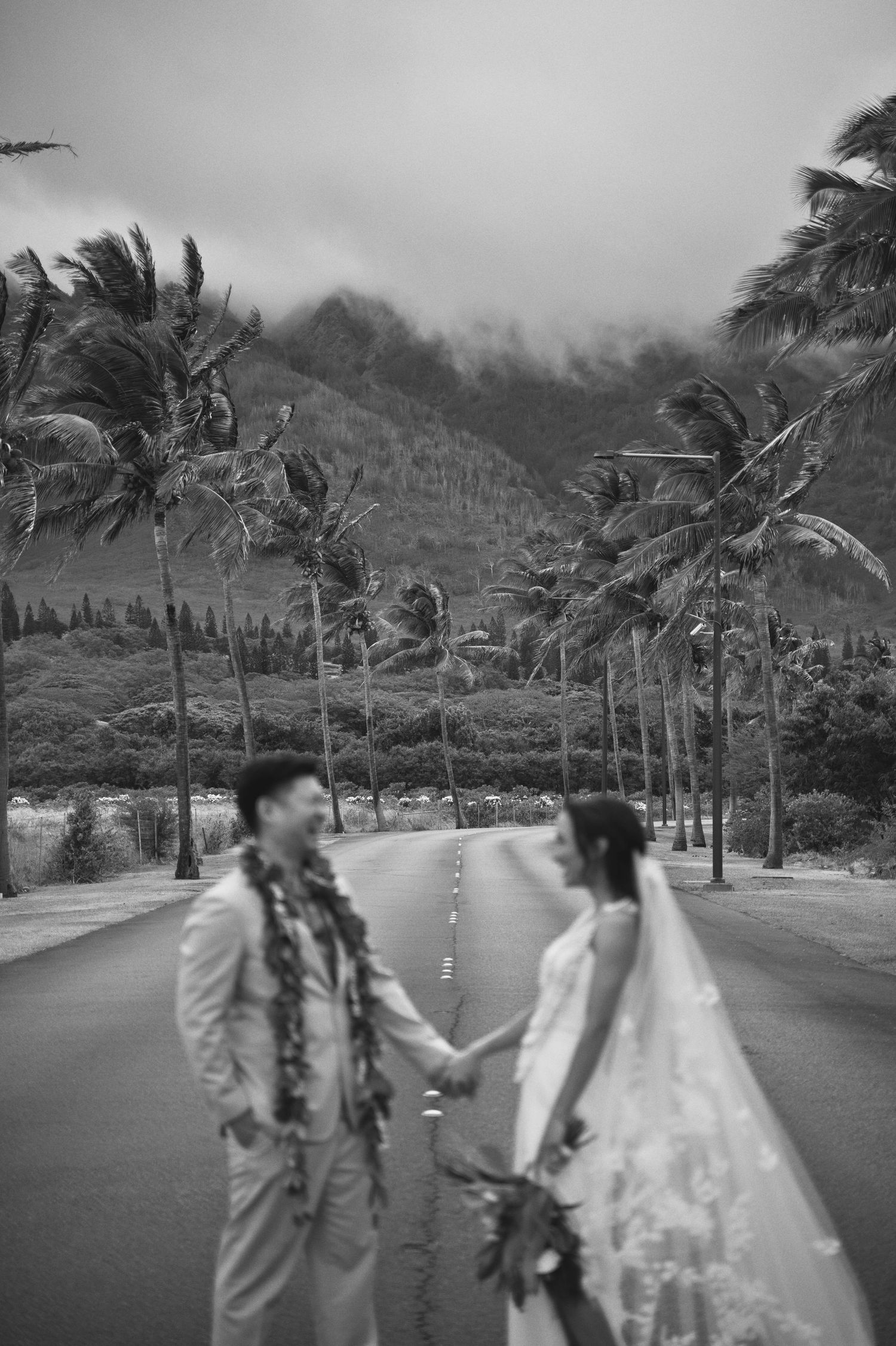 Black and white photo of a couple holding hands on a palm-lined road in Hawaii with misty mountains behind them.