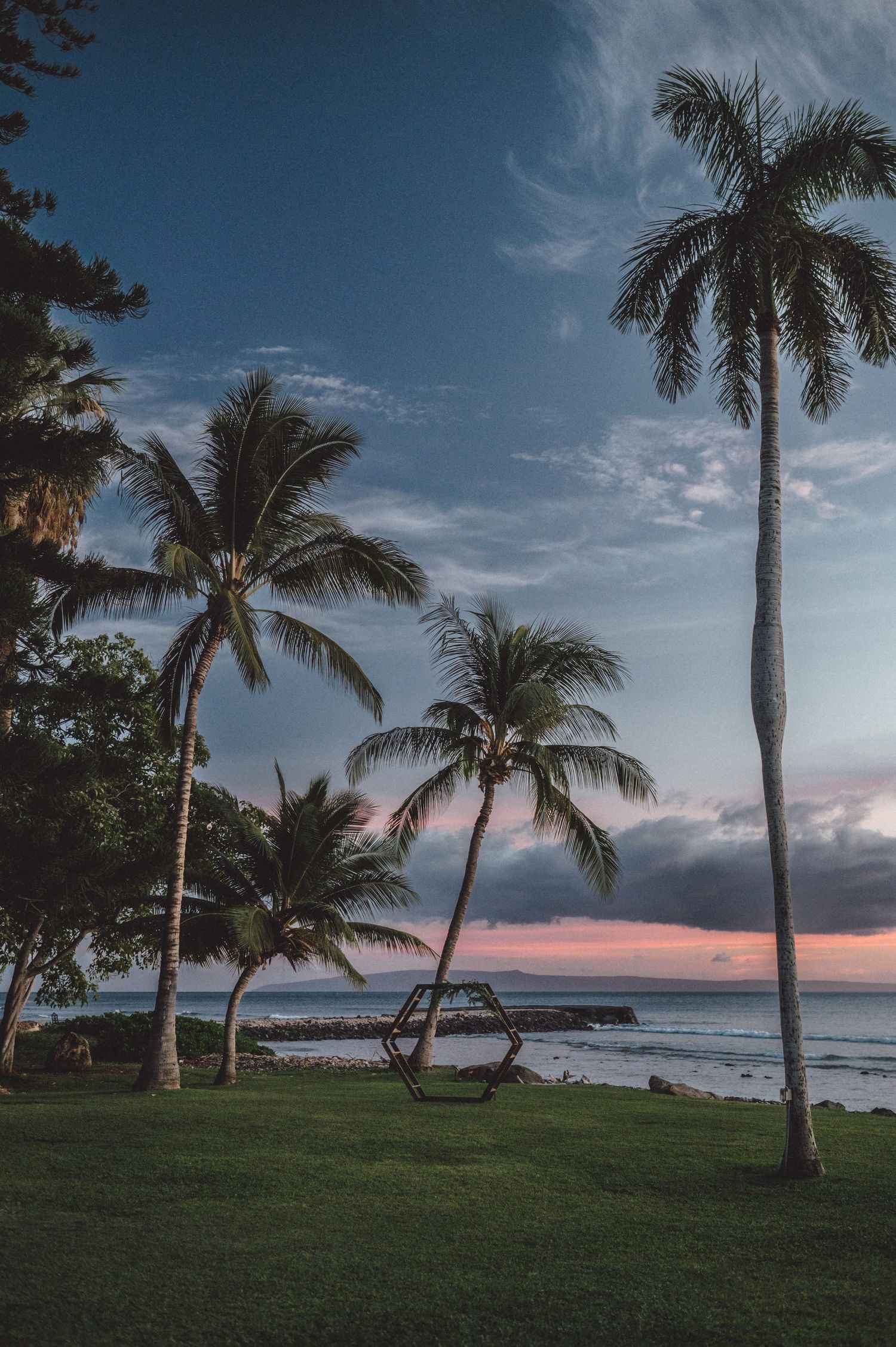 Tropical palm trees silhouetted against a colorful sunset sky overlooking a serene ocean beach in Hawaii.