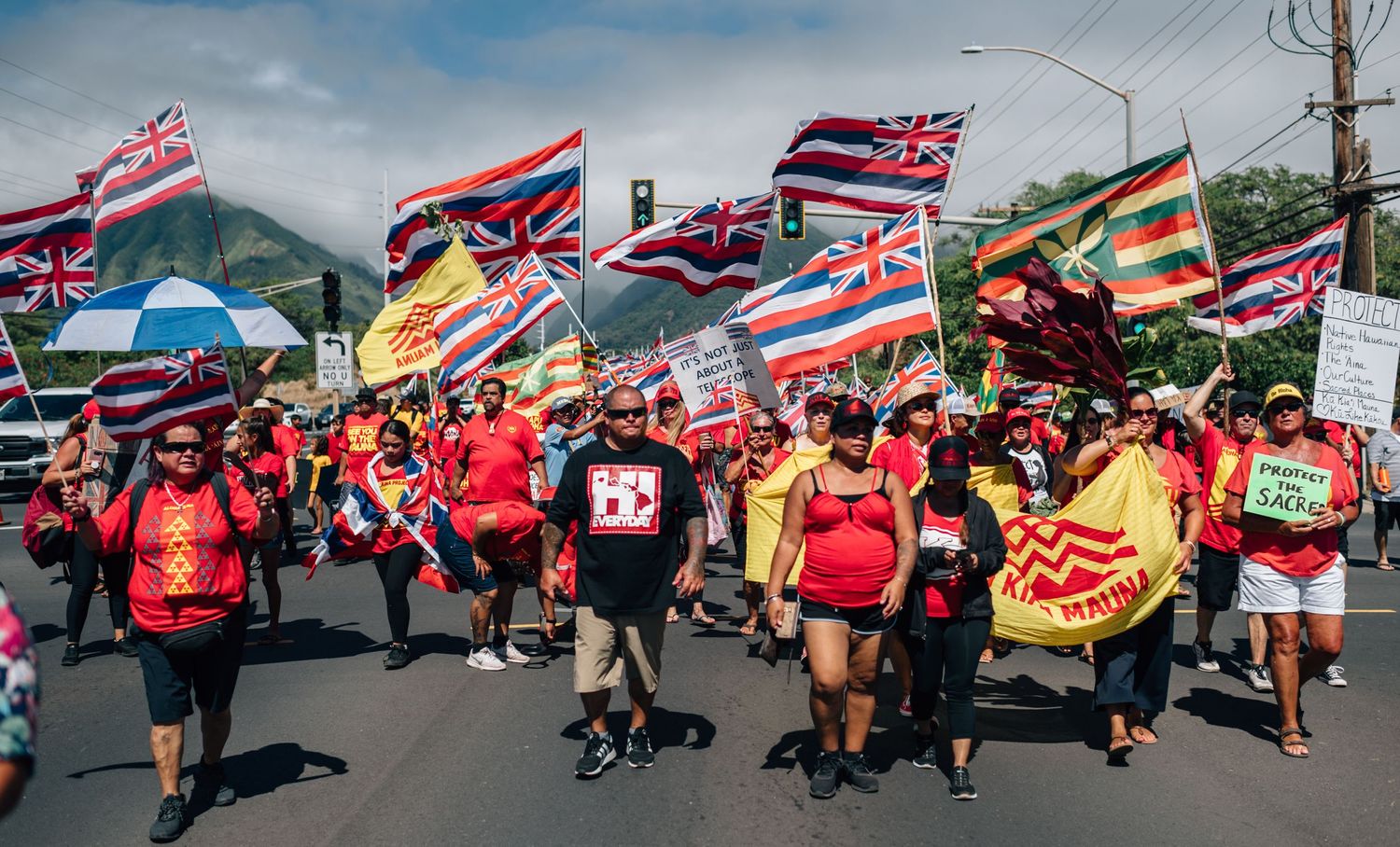 Demonstrators line a street carrying Hawaiian flags and protest signs during a peaceful gathering.