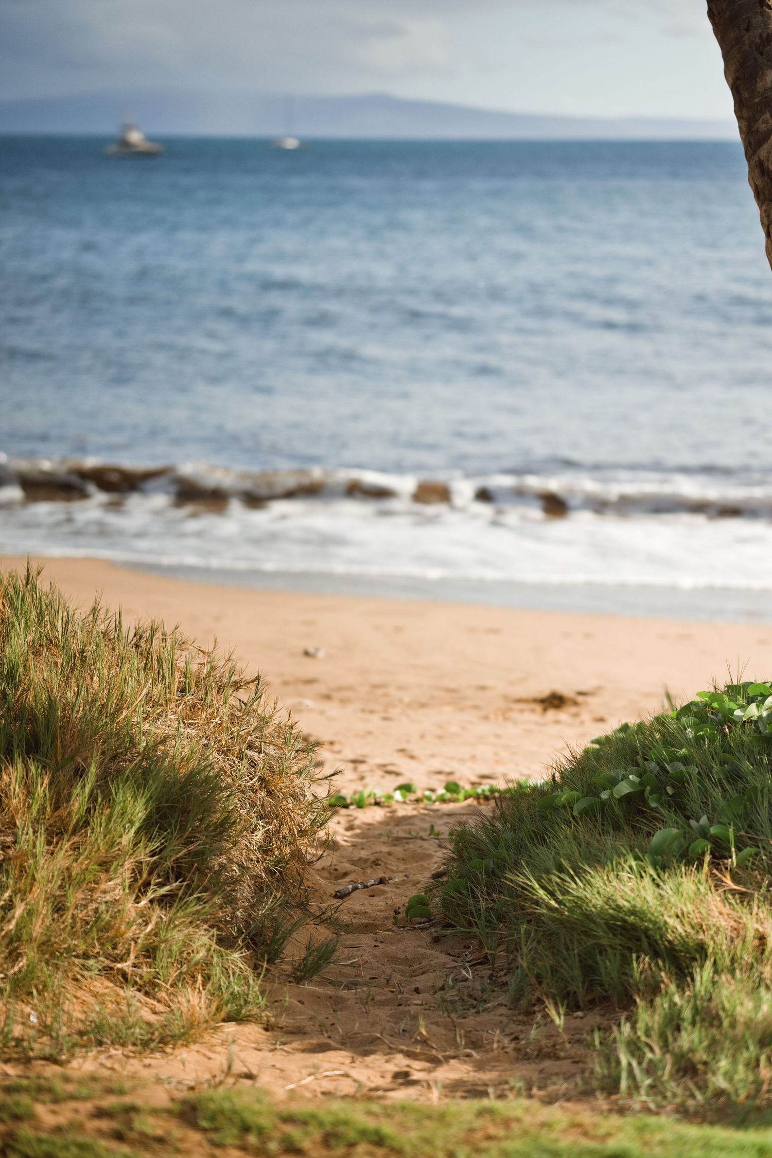 Sandy path leads through lush green grass to a tranquil Hawaiian beach with gentle waves and boats on the horizon.