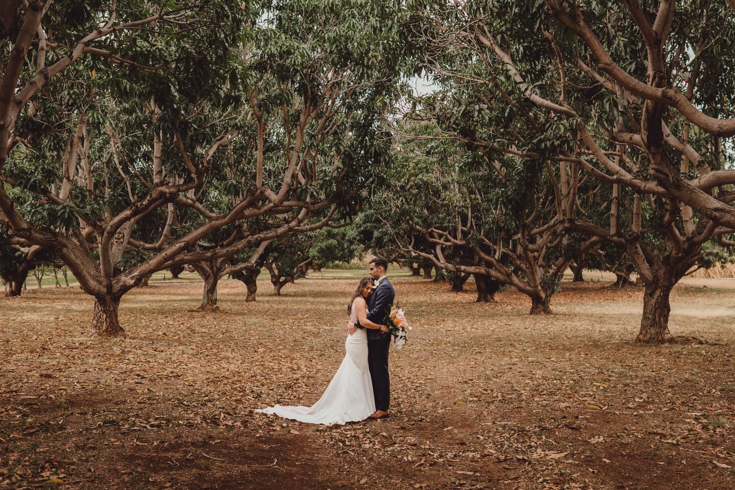 Wedding couple poses romantically in a grove of mature trees during sunset.