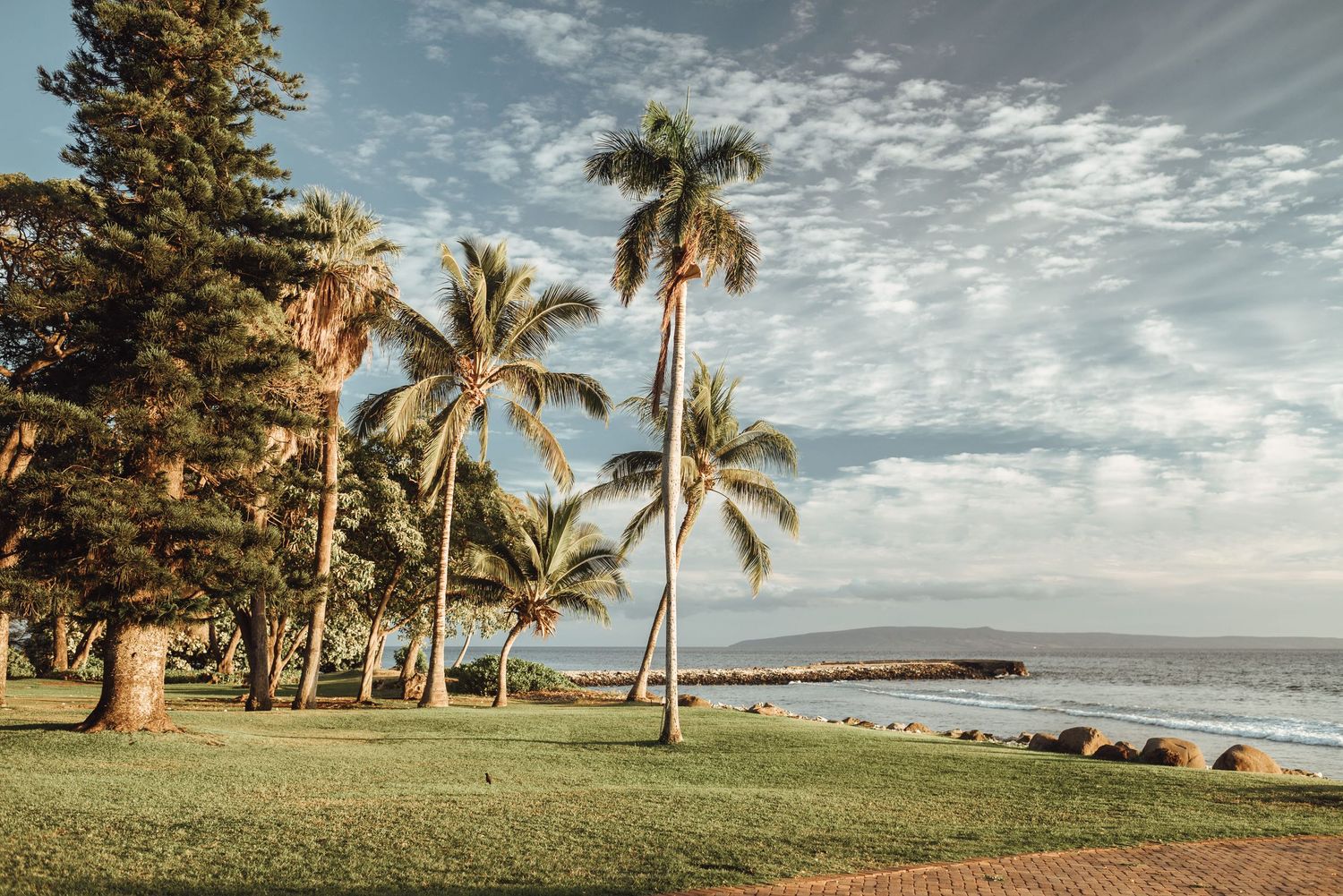 Tropical palm trees line a lush green lawn overlooking a calm ocean bay under a partly cloudy blue sky.