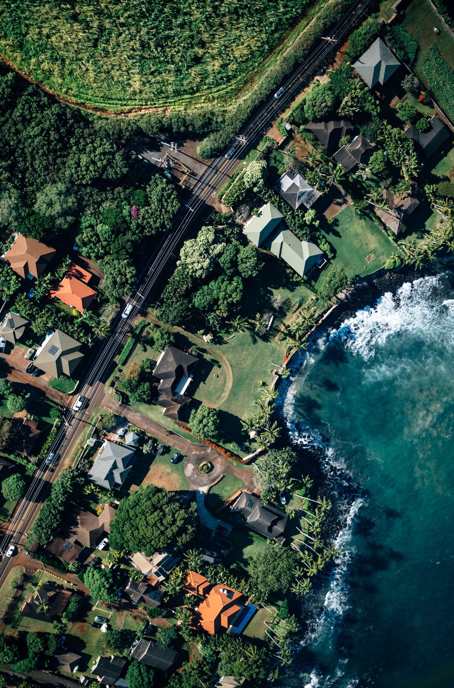 Bird's eye view of a coastal neighborhood with homes nestled among tropical vegetation.