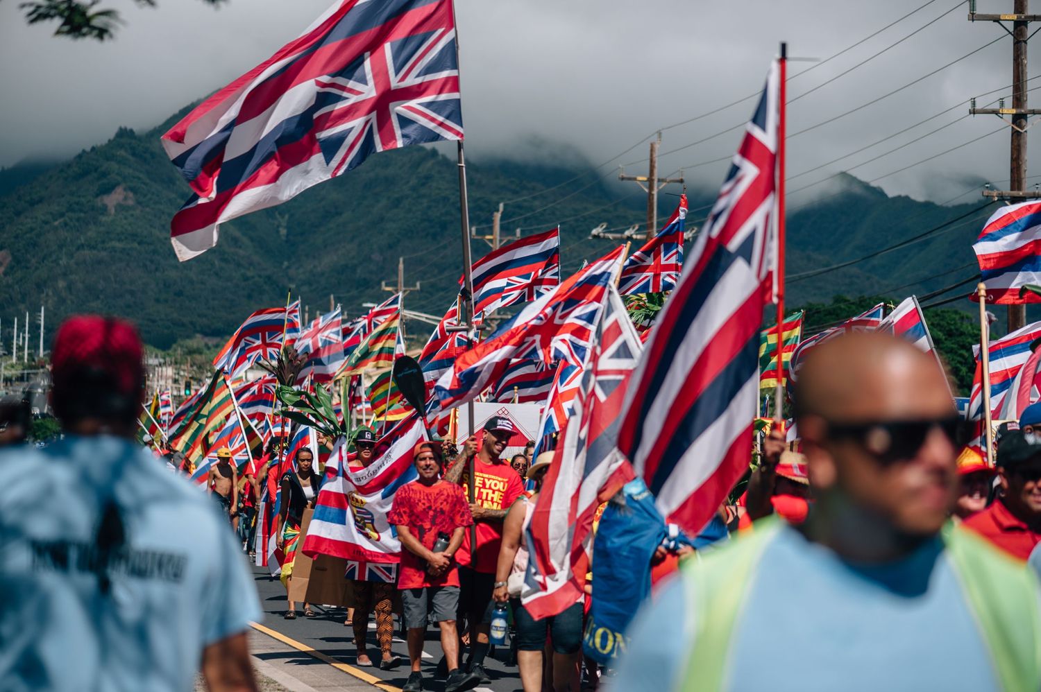 Row of Hawaiian state flags wave against cloudy mountain backdrop during protest.