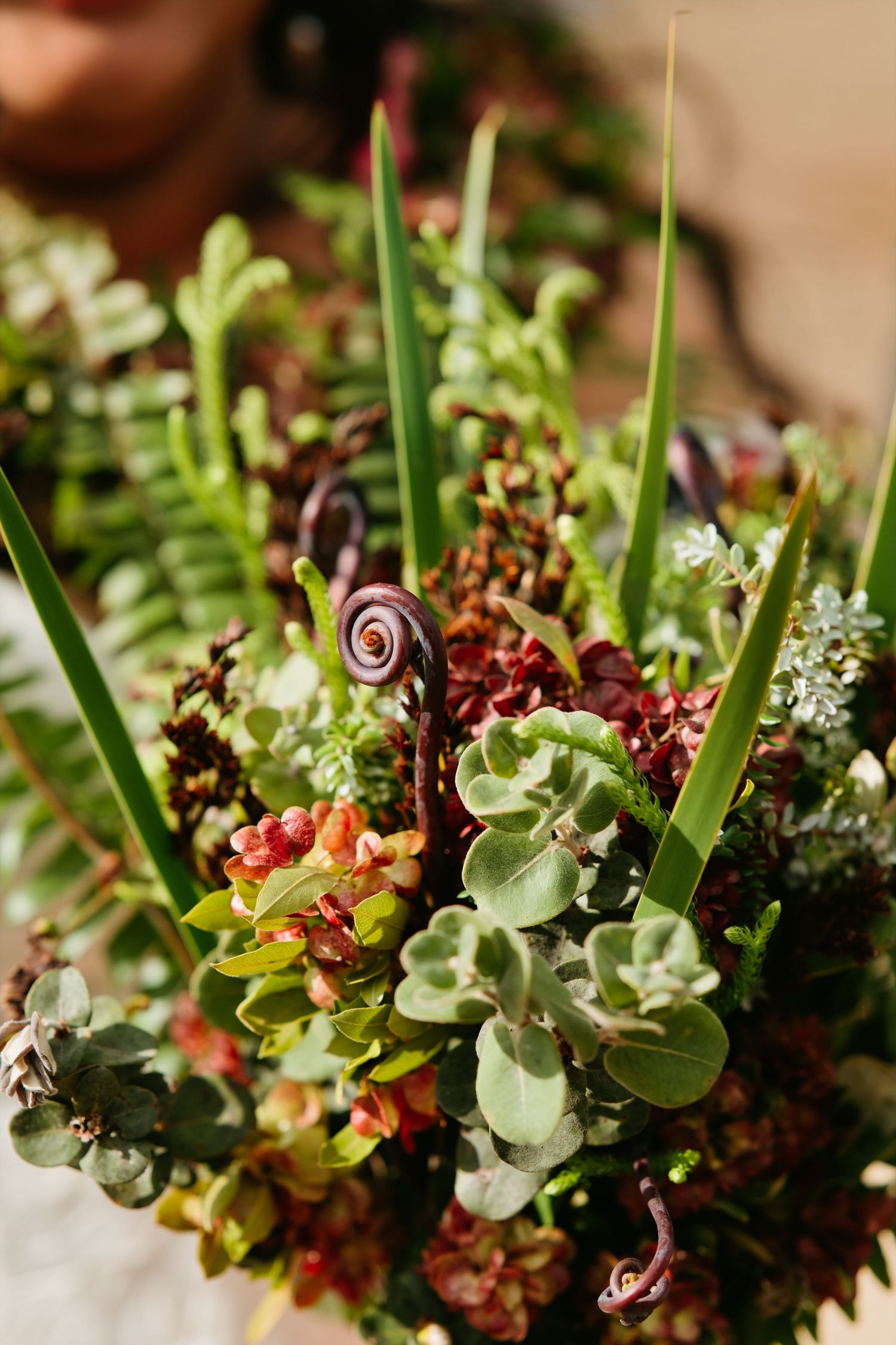 Close-up of a lush wedding bouquet featuring succulents, ferns, and burgundy blooms in rich green and red tones.
