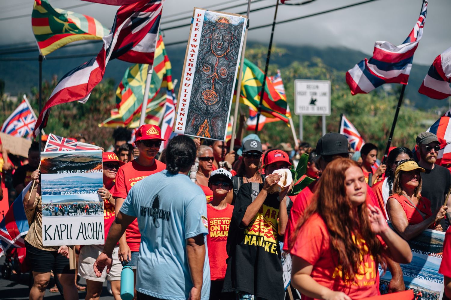 Demonstrators hold Hawaiian flags and protest signs along roadside during rally.