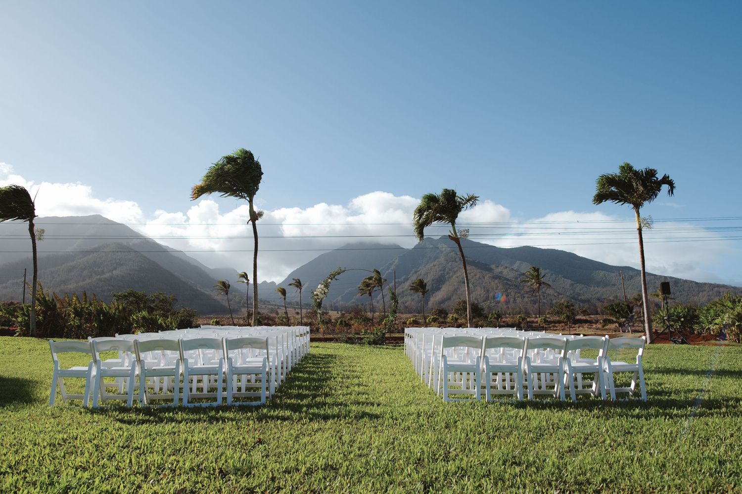 Outdoor wedding ceremony setup with white chairs on green lawn, swaying palm trees, and majestic mountain backdrop in Maui.