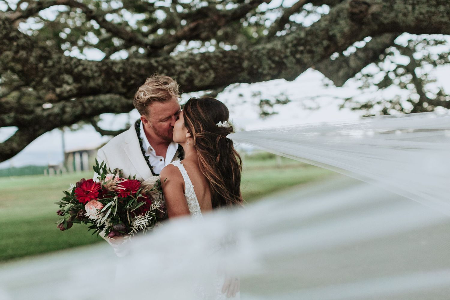 Bride and groom sharing a romantic kiss under a large tree, with a flowing veil and red bouquet on their wedding day.