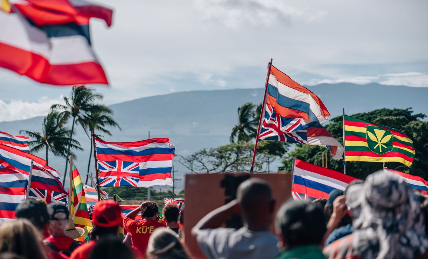 Palm trees and mountains frame a crowd waving Hawaiian state flags at an outdoor event.