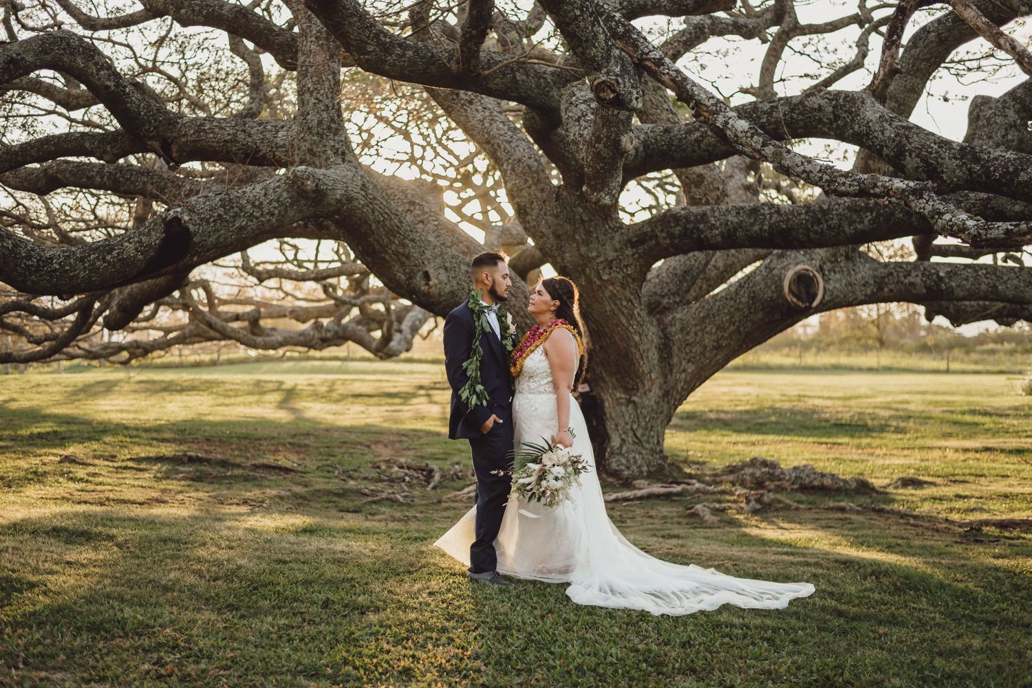 Bride and groom embracing under a massive oak tree on green grass during golden hour at an outdoor wedding.