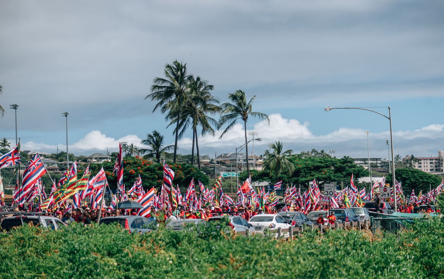 Large crowd marches with Hawaiian state flags along a palm tree-lined road during a protest demonstration.