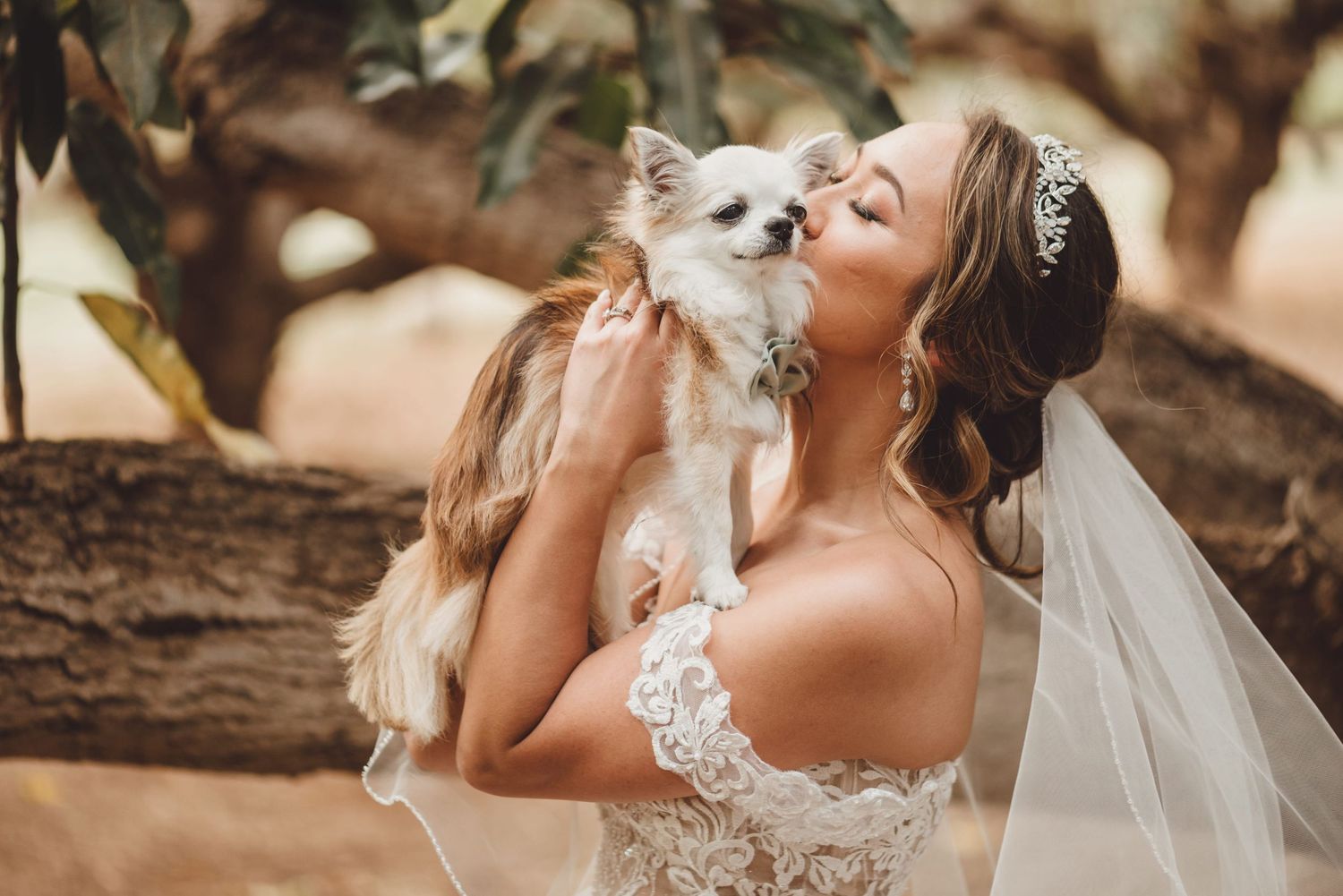 Bride in lace wedding dress and veil kisses small Chihuahua dog outdoors among trees.