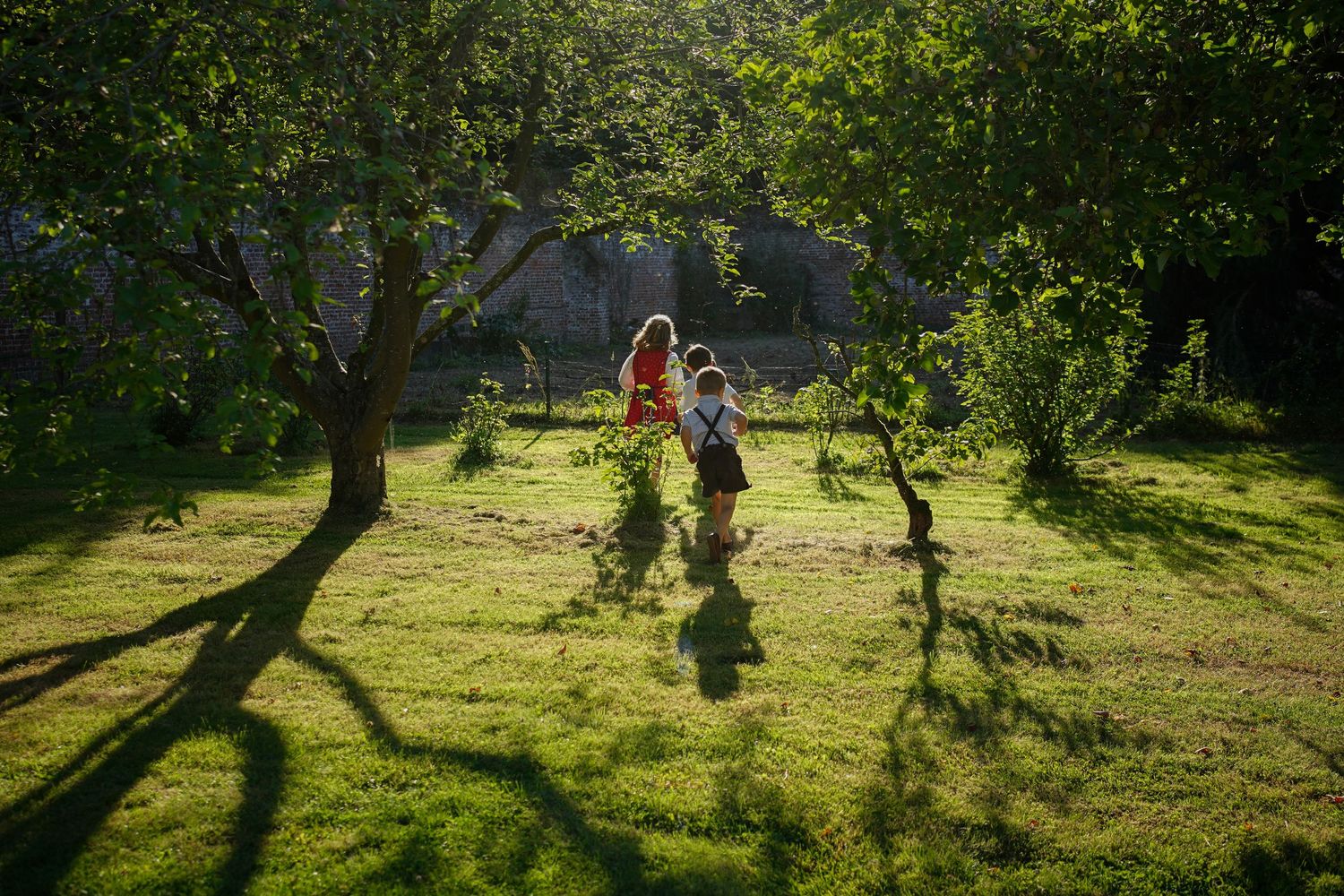 Documenting wedding guests and reception