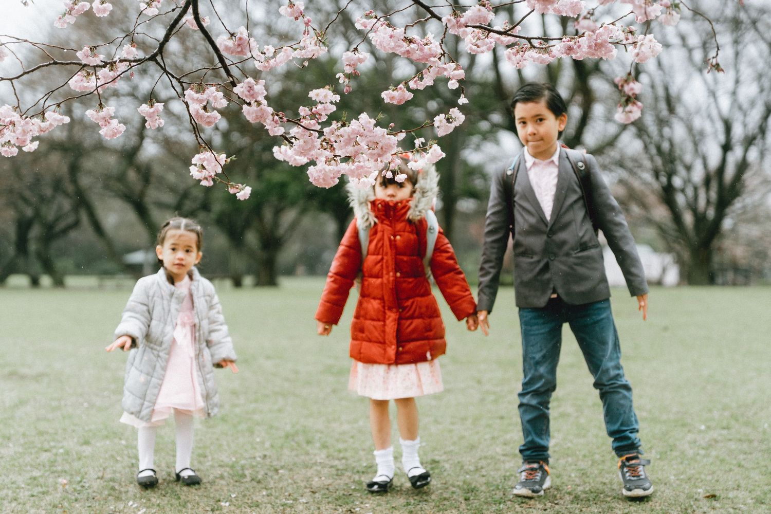 Three children holding hands under blooming cherry blossom trees in a park during spring.