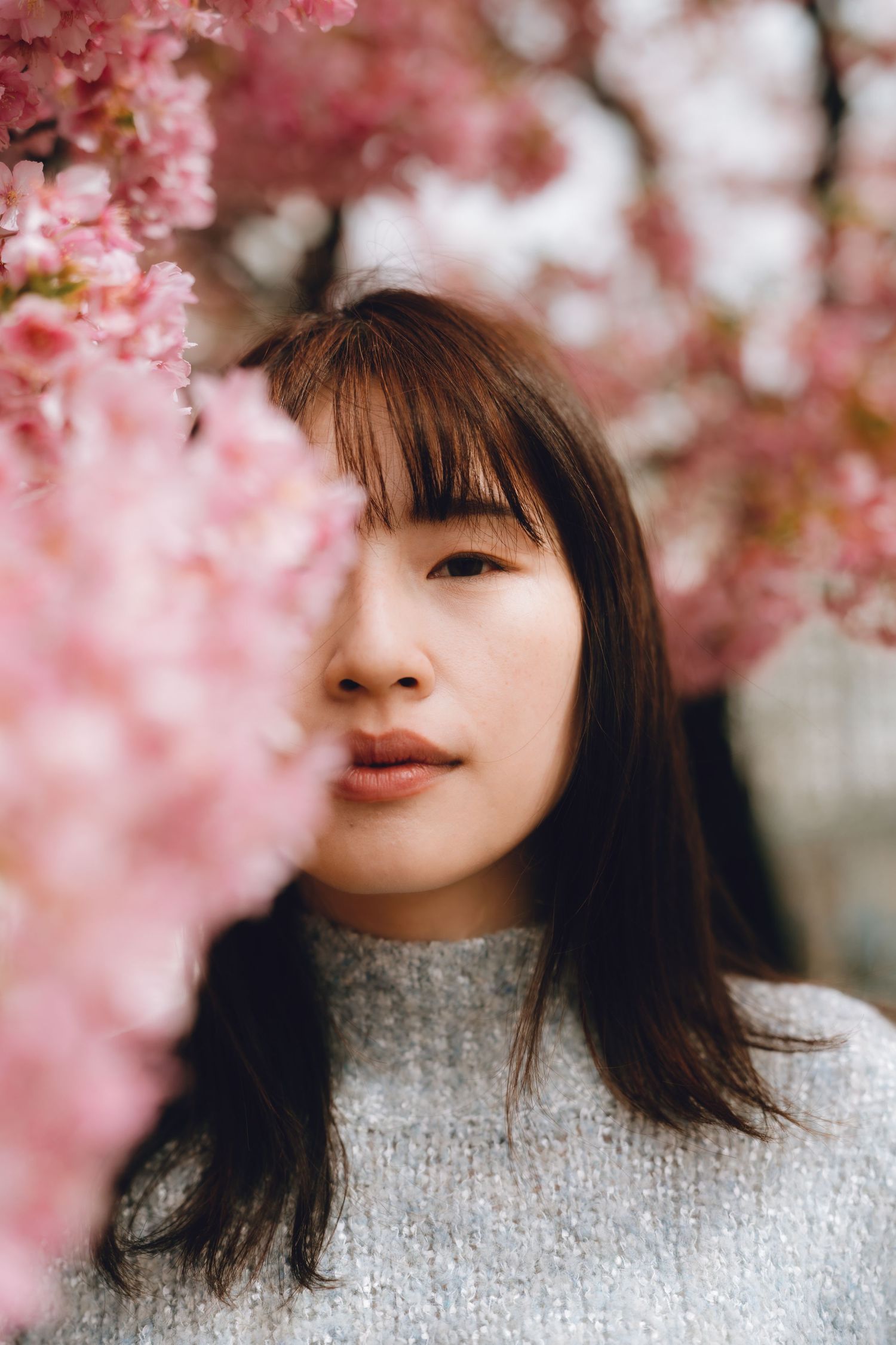 Young Asian woman with dark hair in gray sweater surrounded by pink cherry blossom flowers in spring.