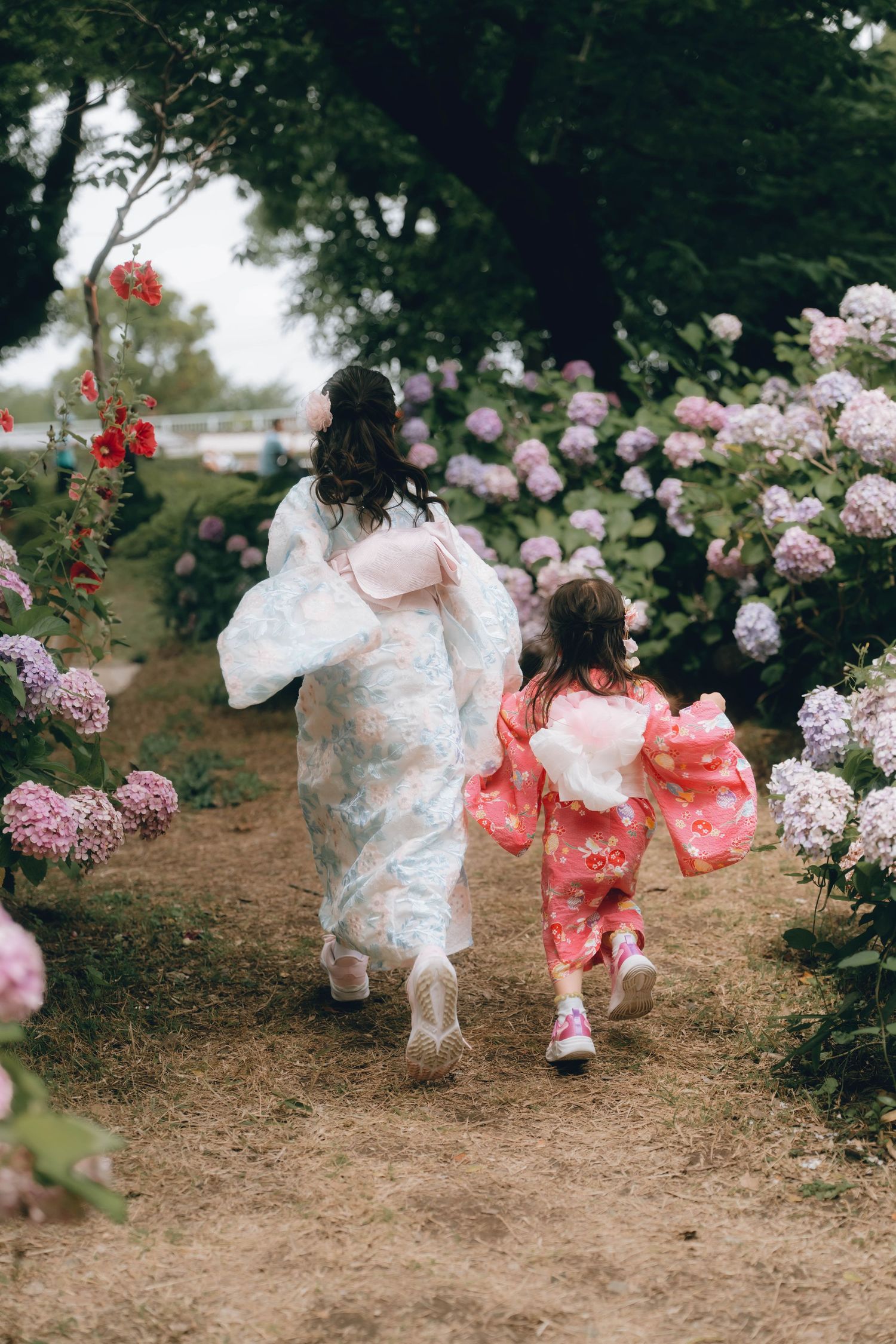 Two girls in floral kimonos run hand-in-hand along a garden path surrounded by blooming hydrangeas in Asakusa.