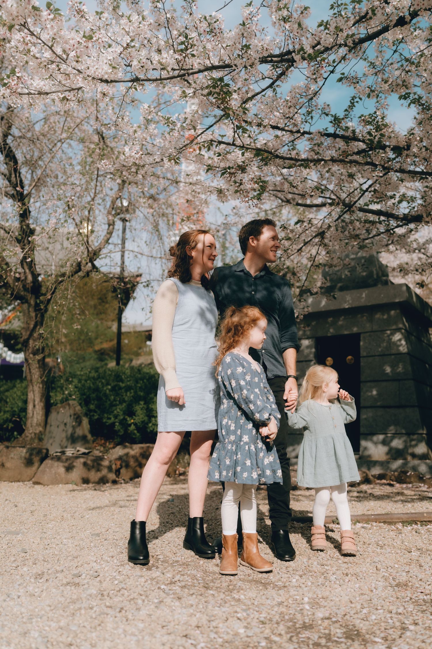 Family of four smiling under blooming cherry blossom trees on a sunny spring day outdoors near tokyo tower.
