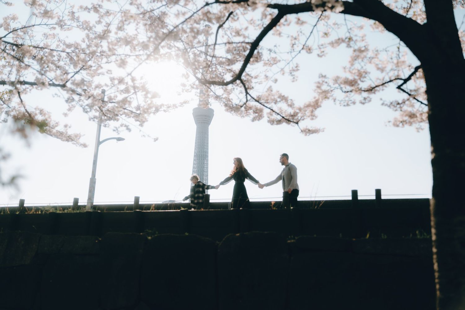 Couple holding hands on a wall under cherry blossoms with Tokyo Skytree in the background.
