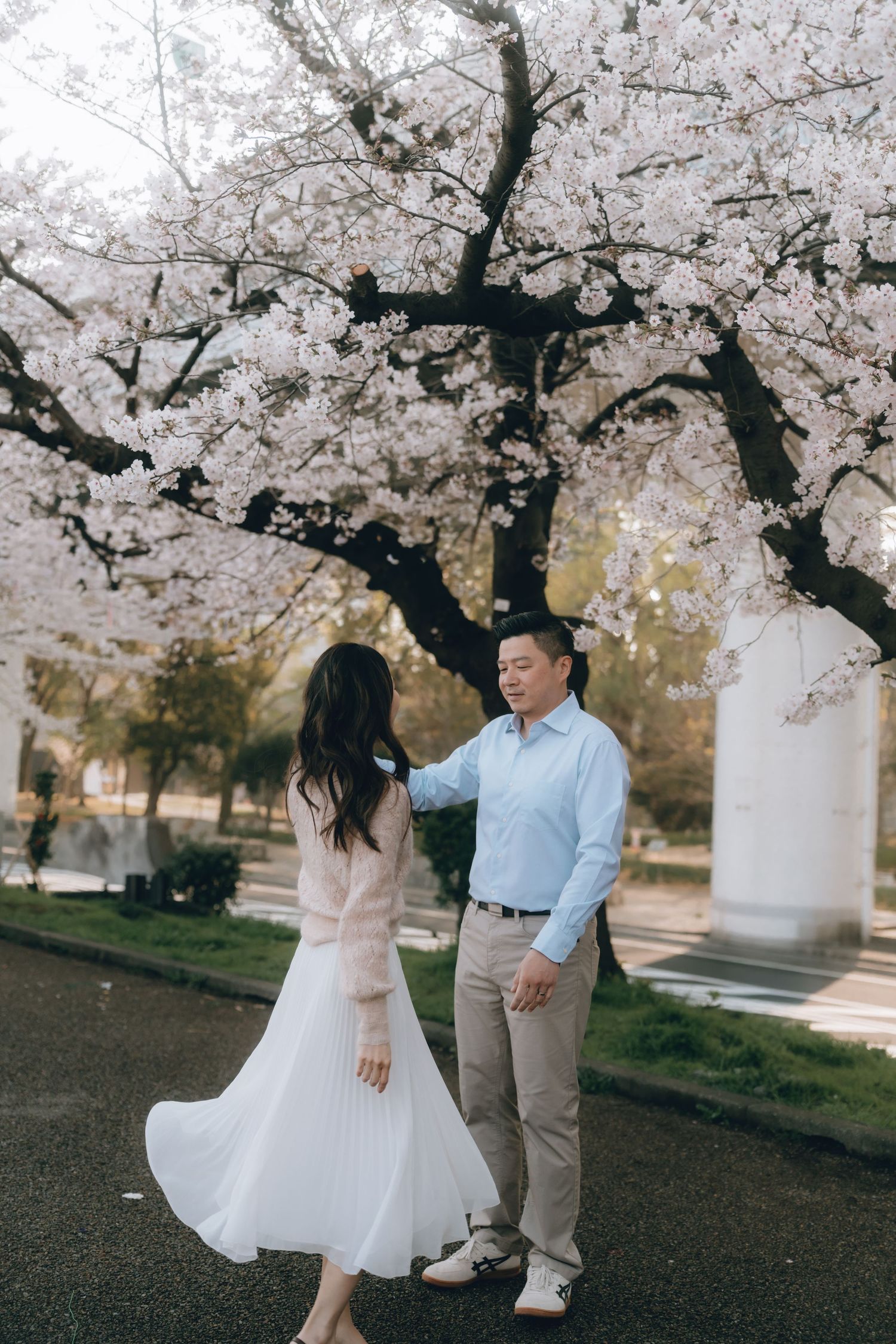 Couple dancing under blooming cherry blossom tree in spring park, woman in white skirt, man in blue shirt.