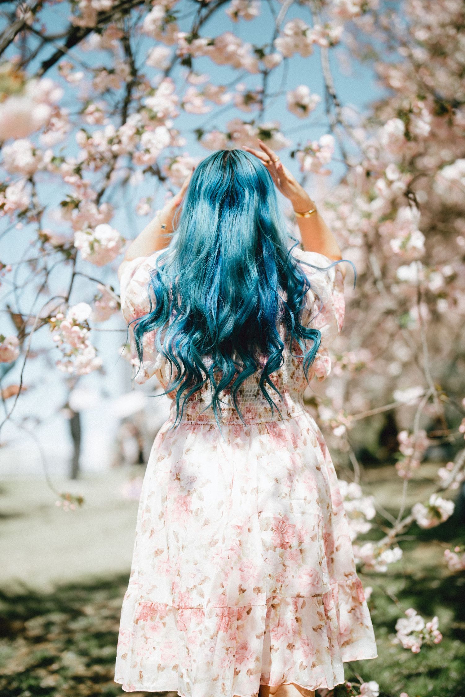 Woman with blue hair in floral dress stands beneath pink cherry blossom tree in spring in shinjyuku gyoen.