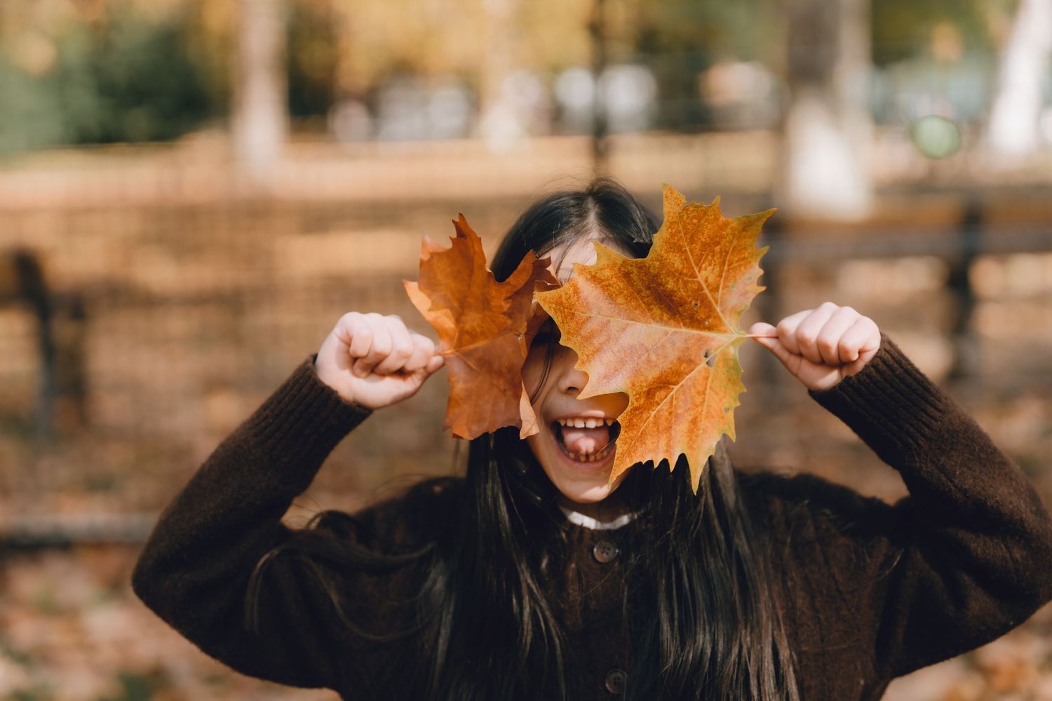Joyful kid holding autumn maple leaves over her eyes in hibiya park, tokyo.