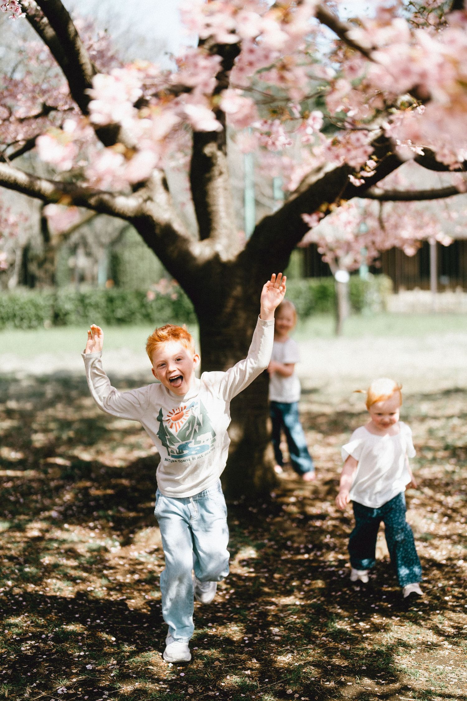 Joyful red-haired boy runs with arms raised under blooming pink cherry blossom tree in spring park with siblings.