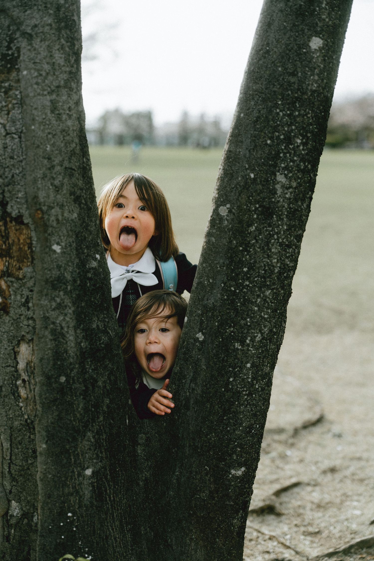Two playful children peek through a tree trunk gap in a park, making funny faces with mouths wide open.