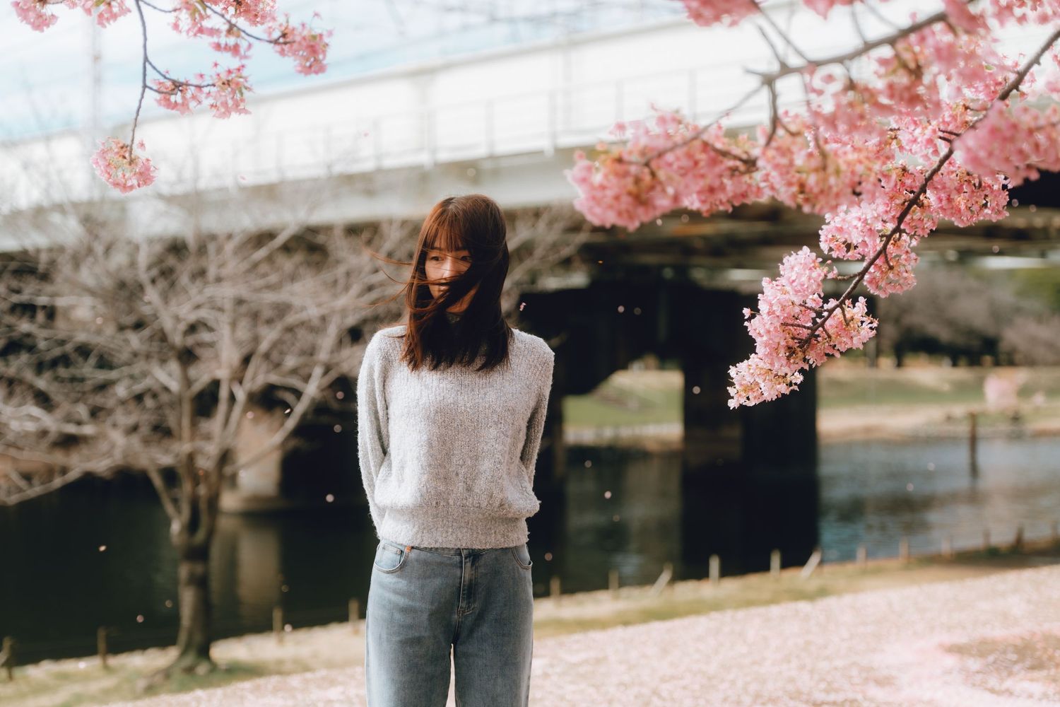 Young woman in gray sweater and jeans standing under pink cherry blossom tree near a river bridge in spring.