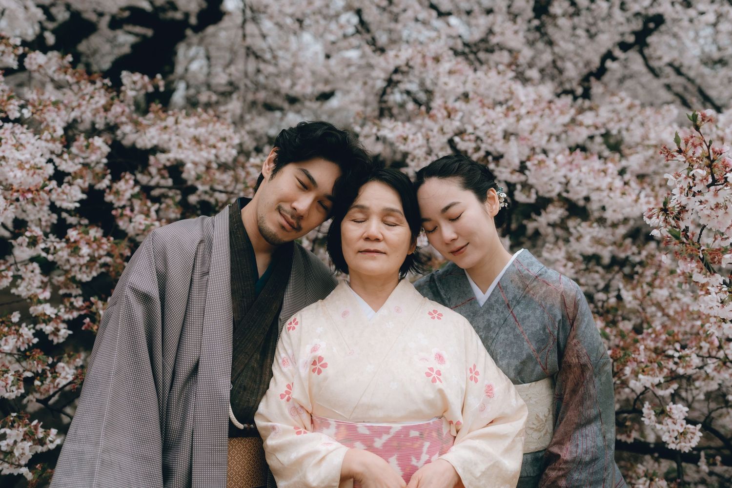 Three people in traditional Japanese kimonos embrace warmly under blooming cherry blossom trees in Shinjyuku gyoen, Tokyo, Japan.