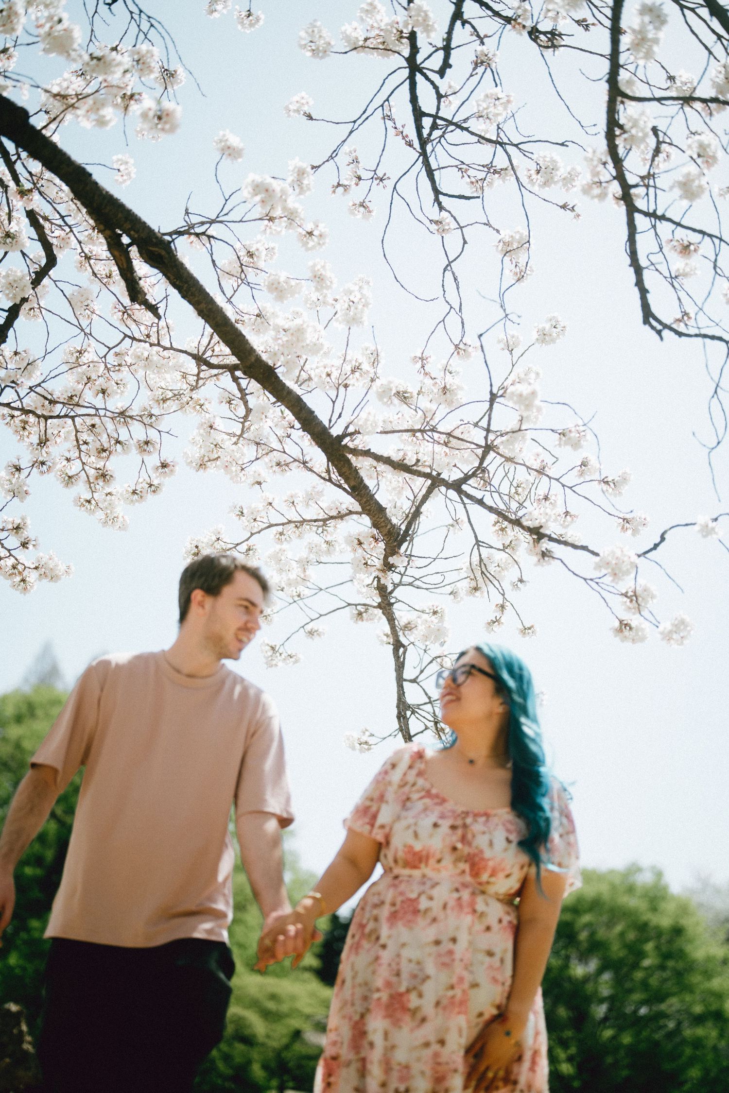 Couple holding hands under blooming cherry blossom tree in spring, woman with teal hair in floral dress in shinjyuku gyoen.