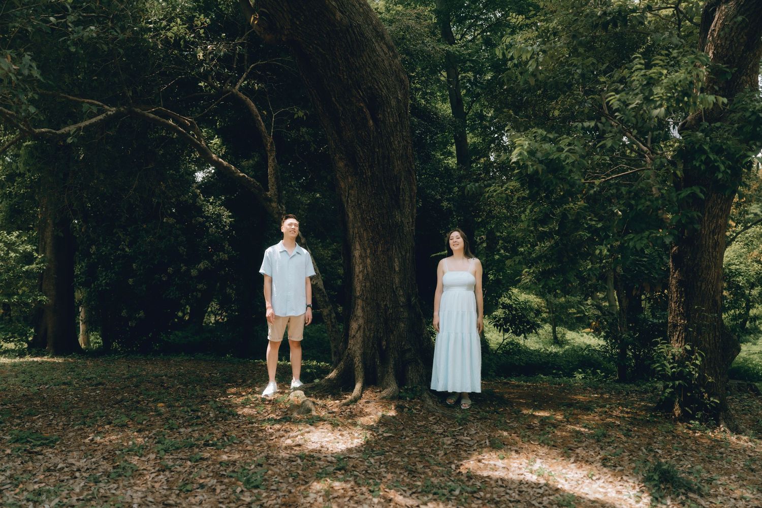 A man and woman stand apart among lush green trees in a sunlit forest clearing, man in casual wear, woman in flowing dress.