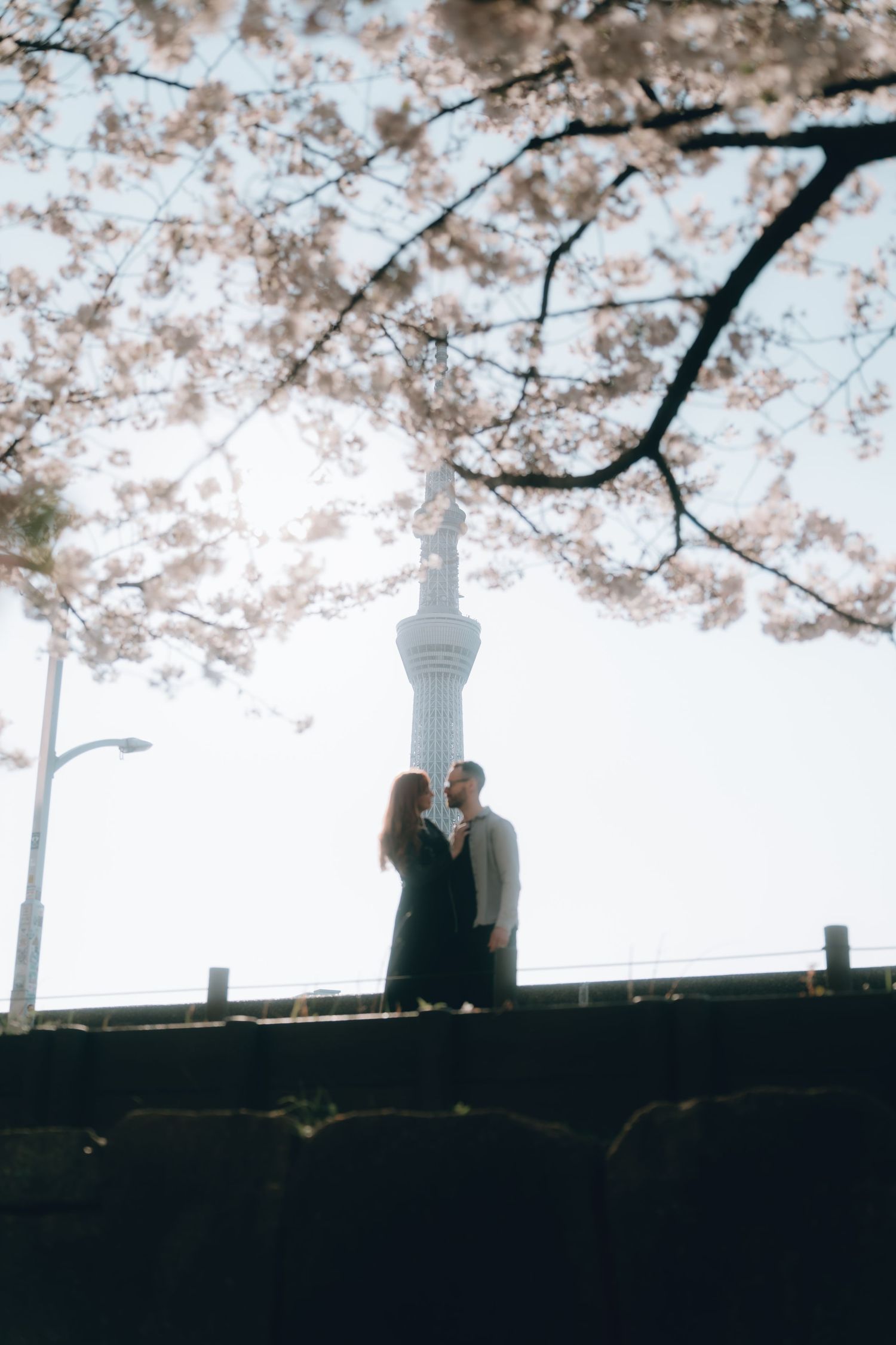 Couple standing under cherry blossom trees with Tokyo Skytree in background during spring.