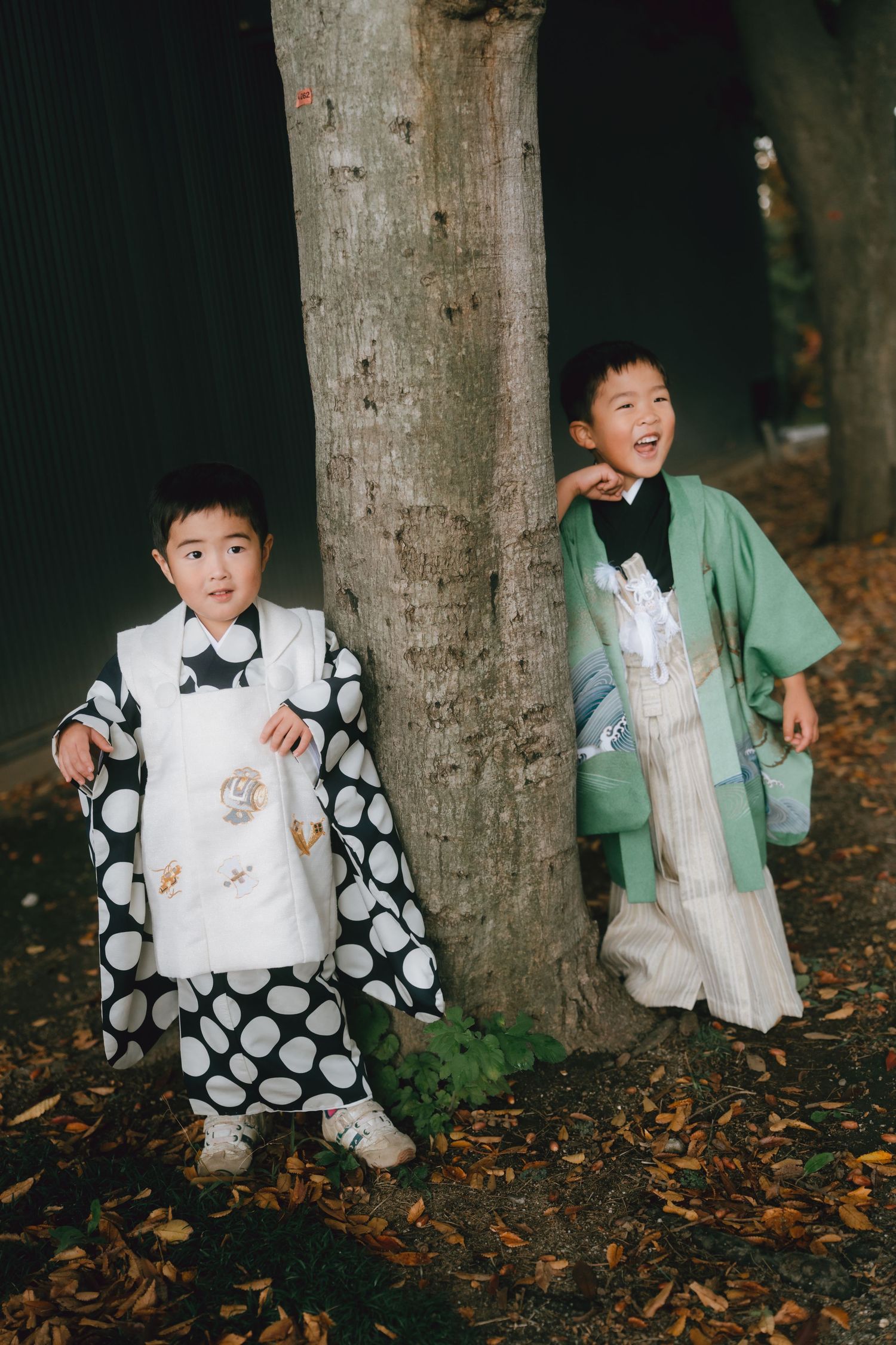 young child wearing a traditional teal haori and hakama for Shichi-Go-San at Chiba shrine, Chiba, Japan.