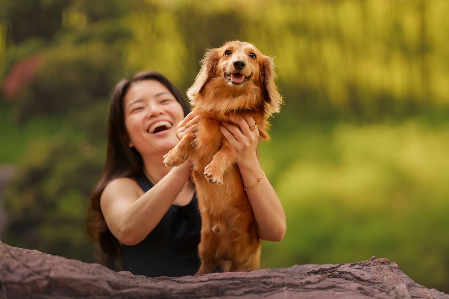 Laughing Asian woman holding up a happy brown dachshund dog outdoors in a green park.