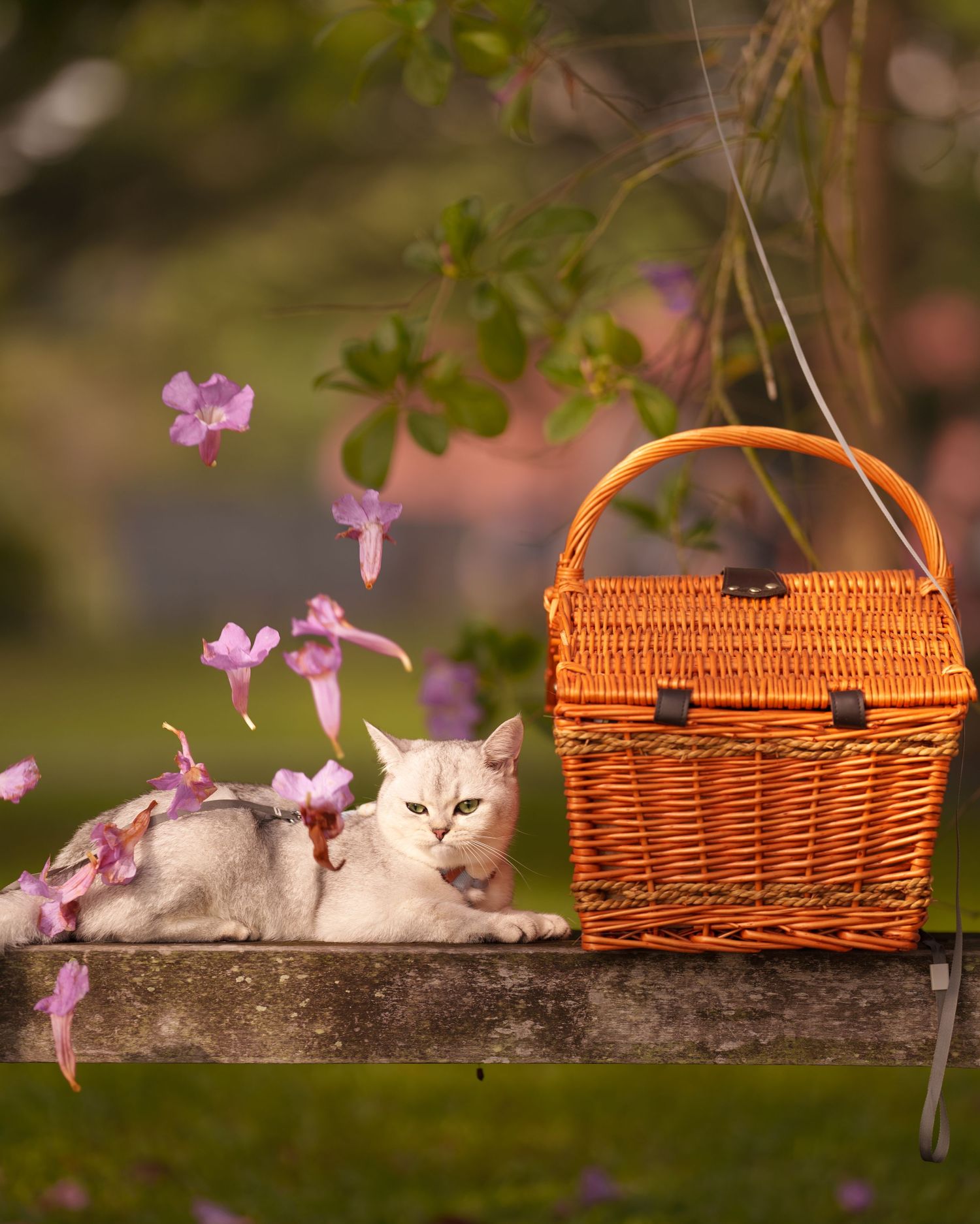A fluffy white cat resting on a stone ledge beside an orange wicker basket with pink flowers falling around it.