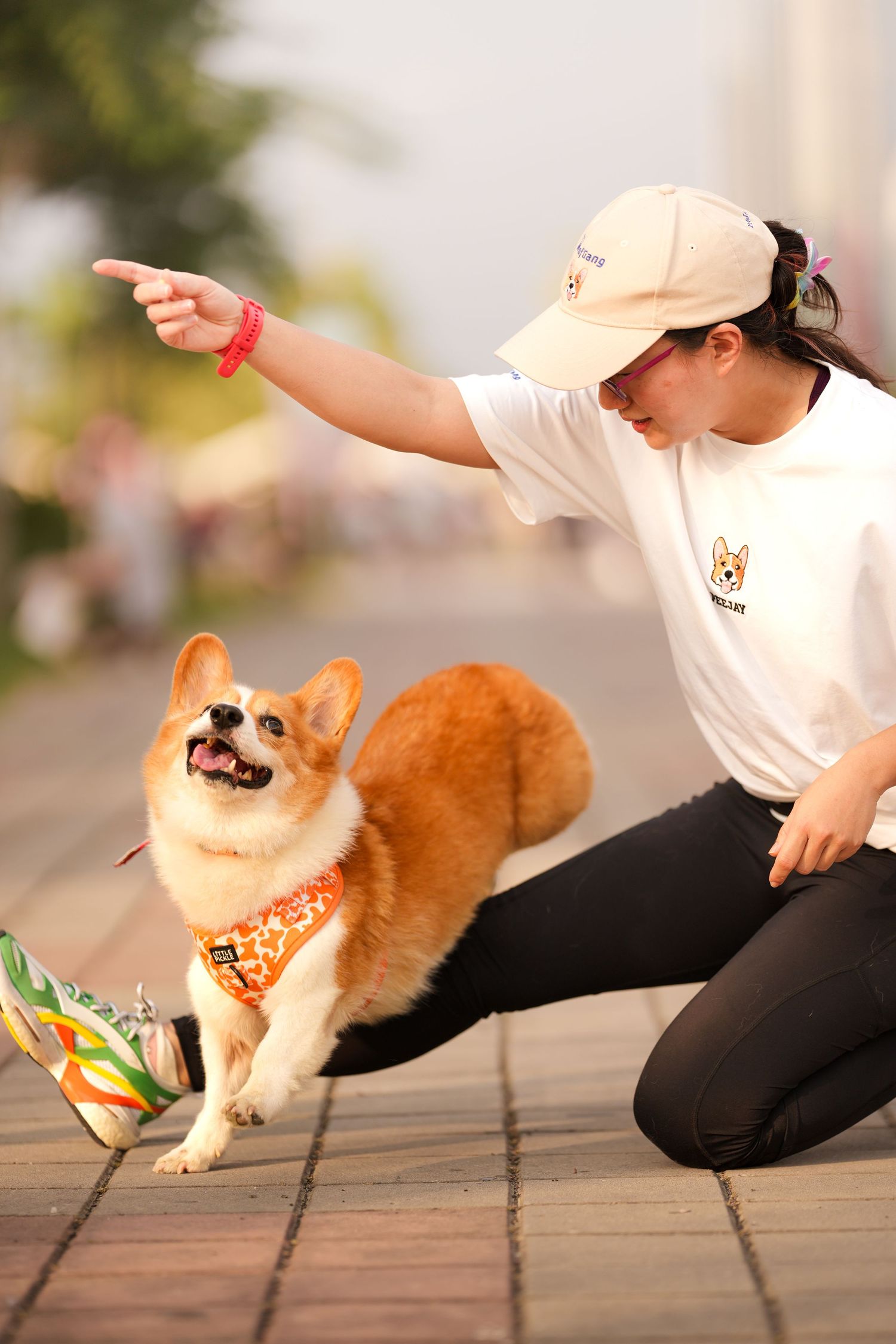 Woman in white cap kneeling beside a happy Corgi dog in orange harness, pointing forward on a paved path.