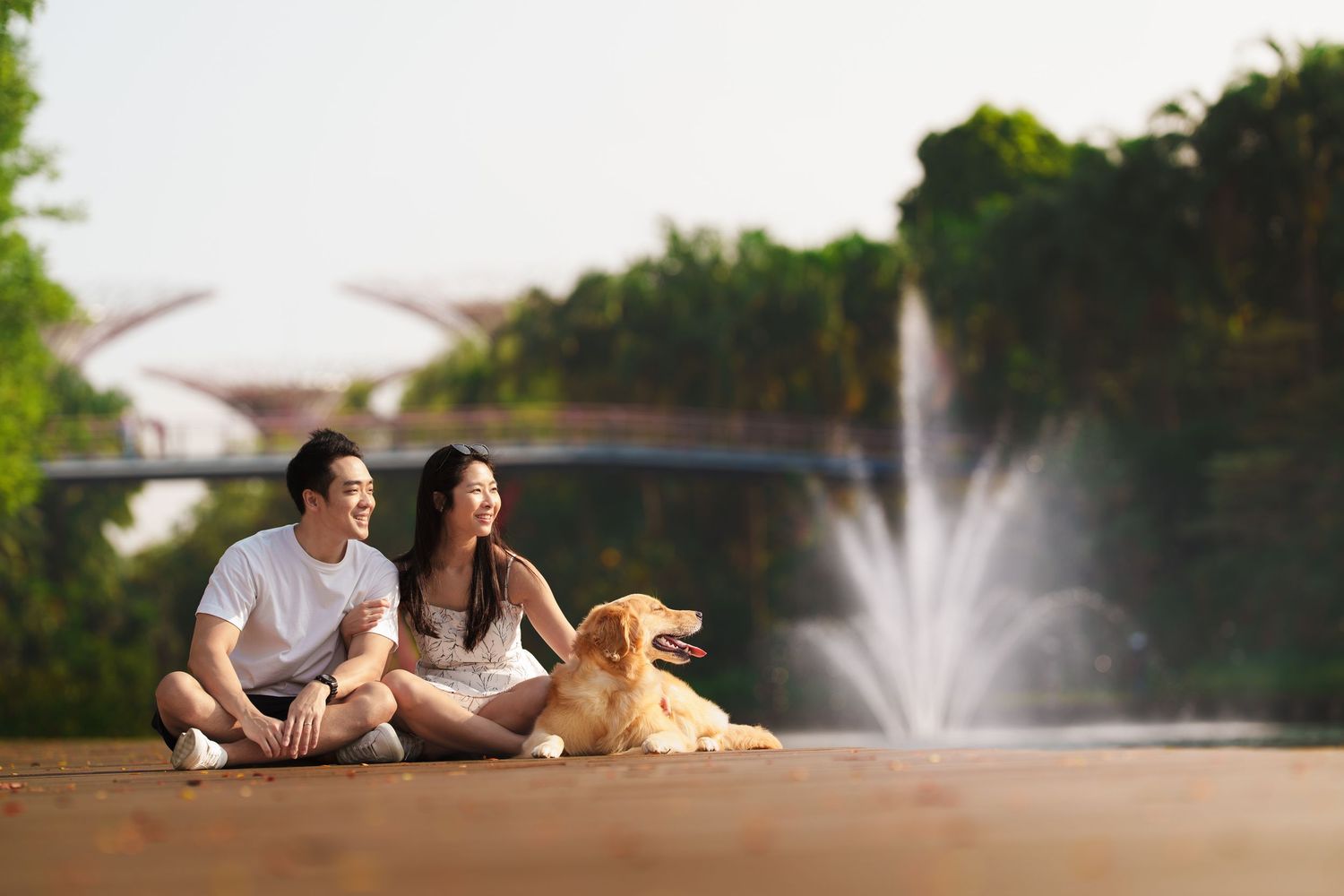 A couple sitting together with their golden retriever by a fountain in a scenic outdoor park.